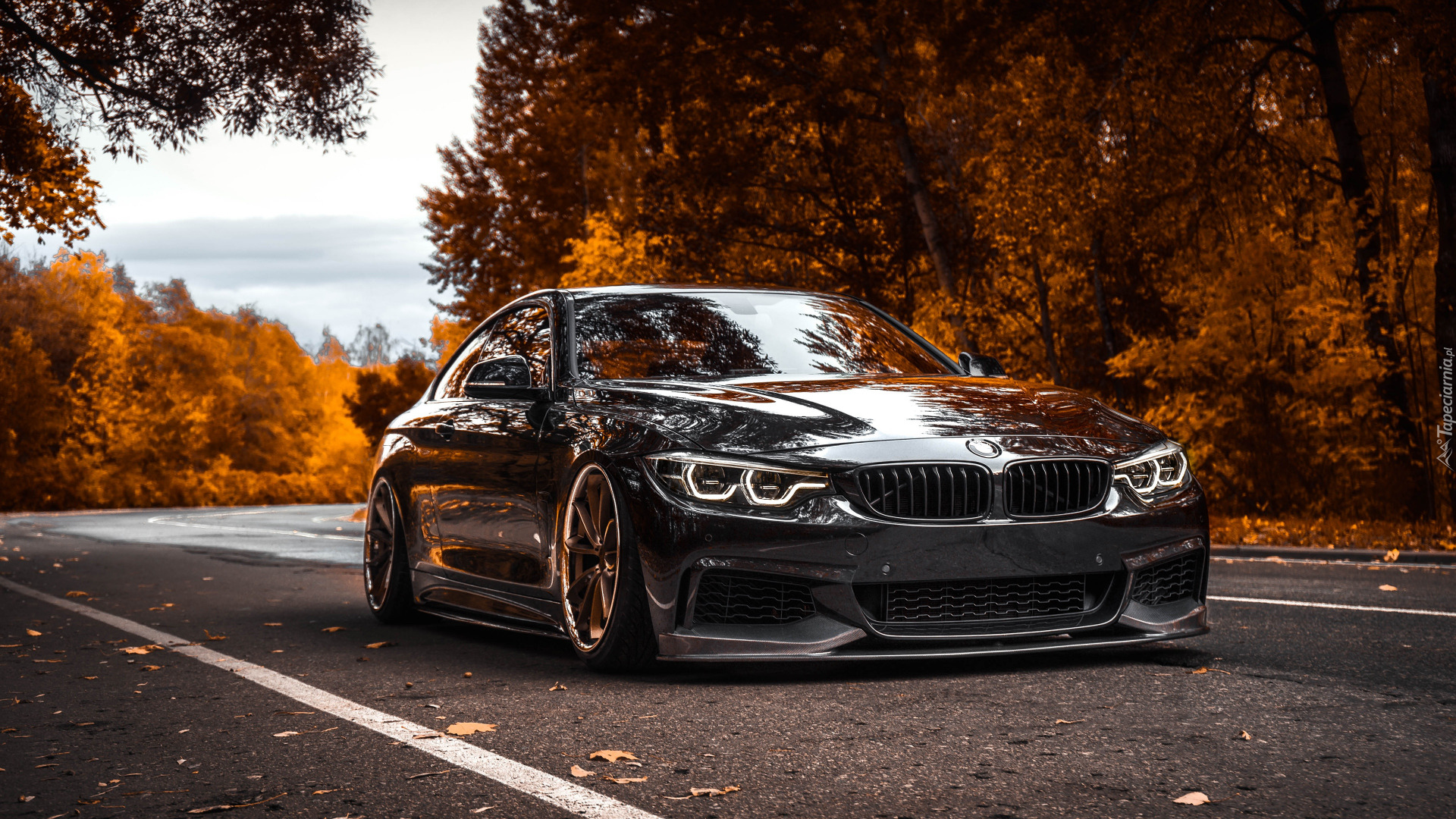 Czarne, BMW M4 F82, Droga, Jesienne, Drzewa