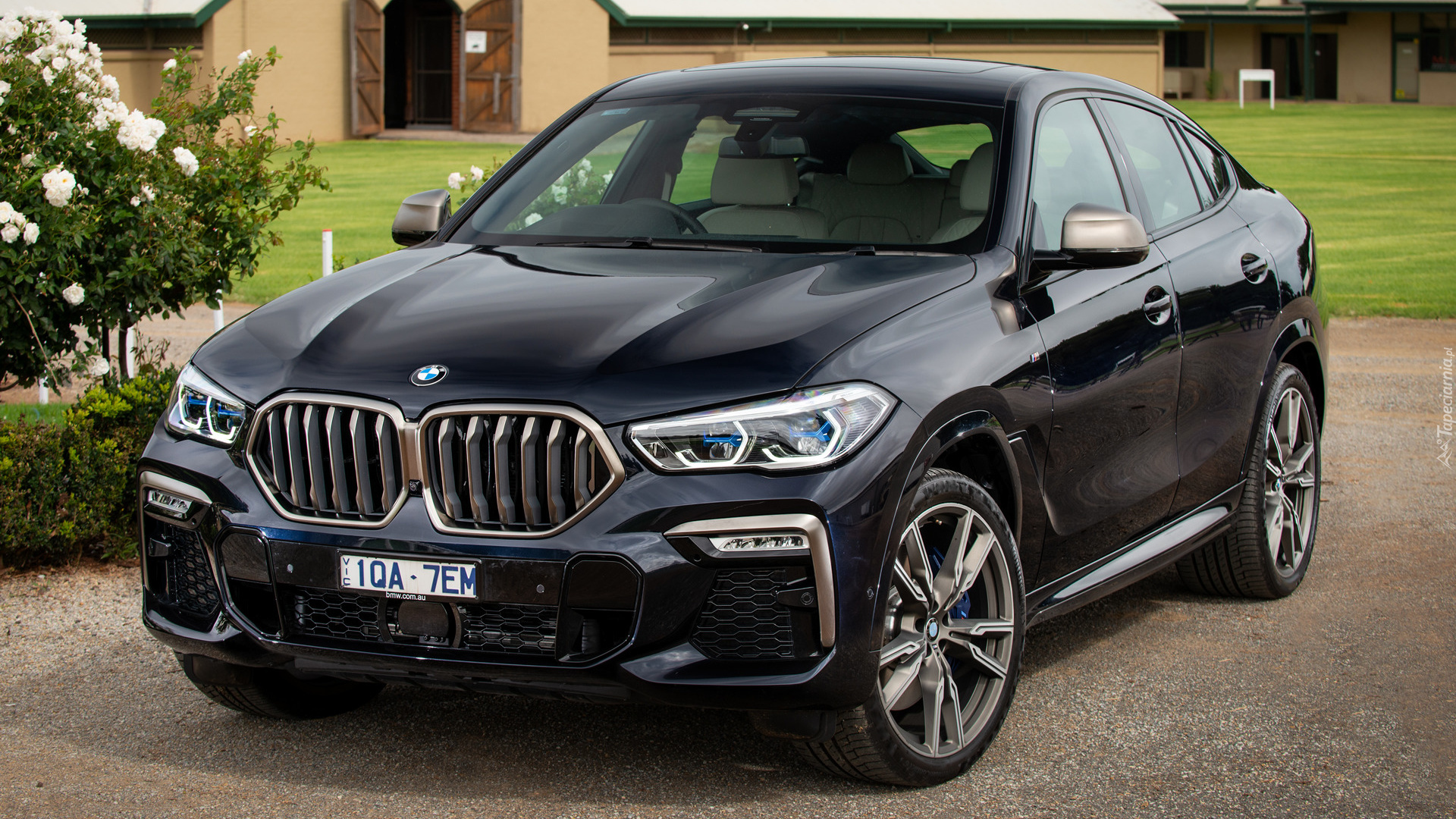 BMW X6 M50i