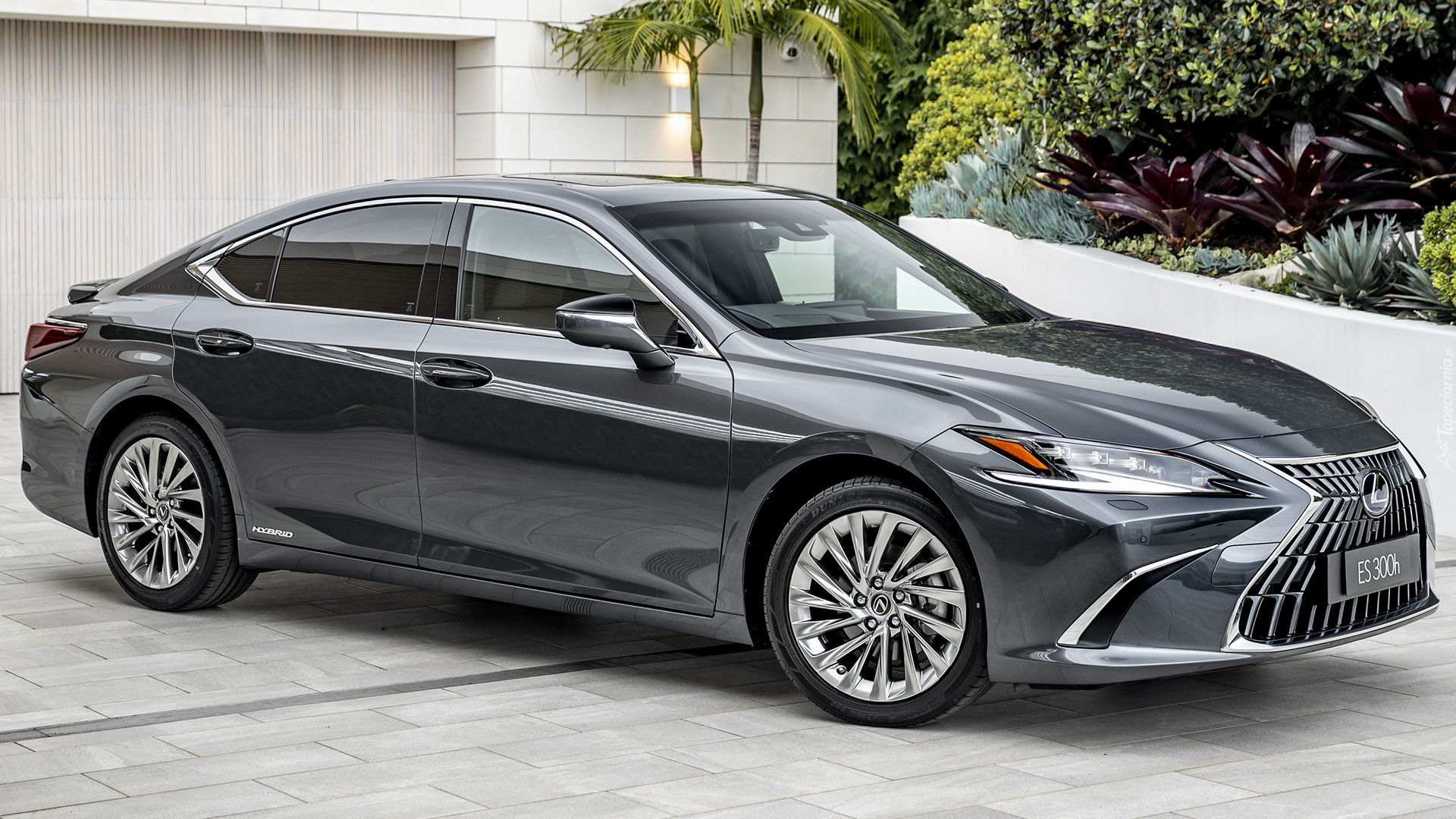 Lexus ES Hybryda