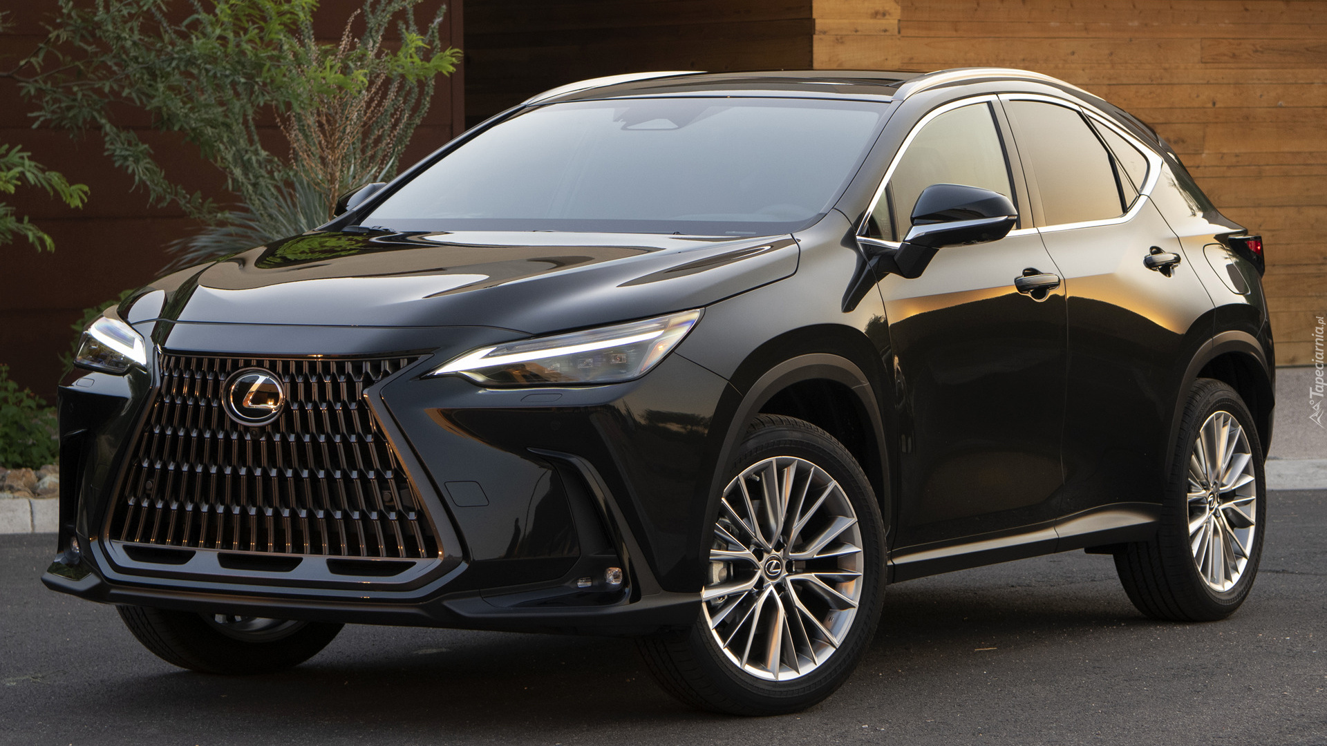 Czarny, Lexus NX