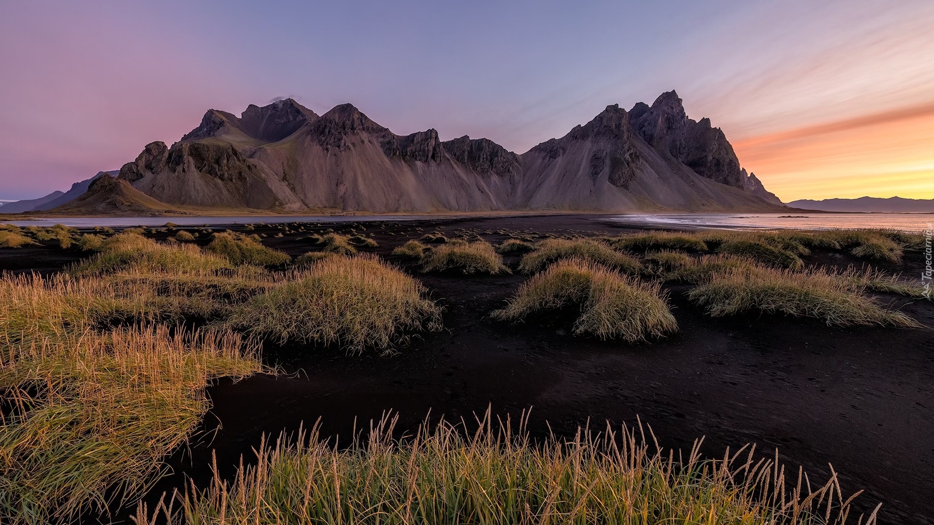 Islandia, Góry, Góra Vestrahorn, Plaża, Czarny, Piasek, Trawa, Kępki