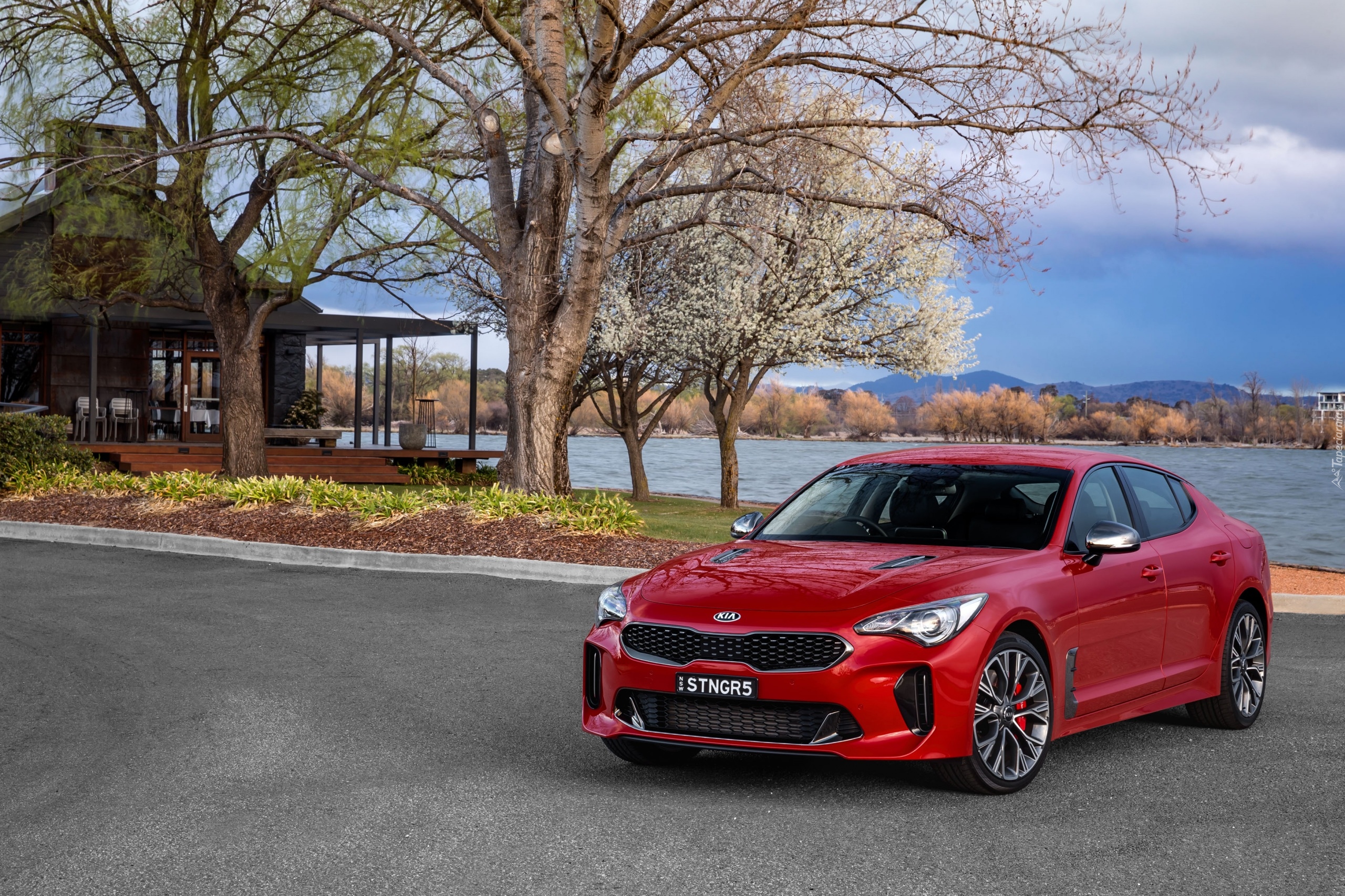 Czerwona, Kia Stinger GT