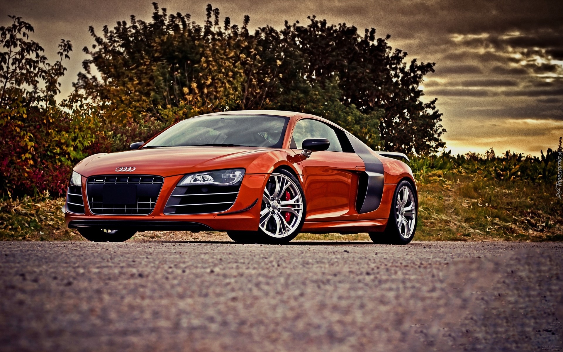 Czerwone, Audi R8