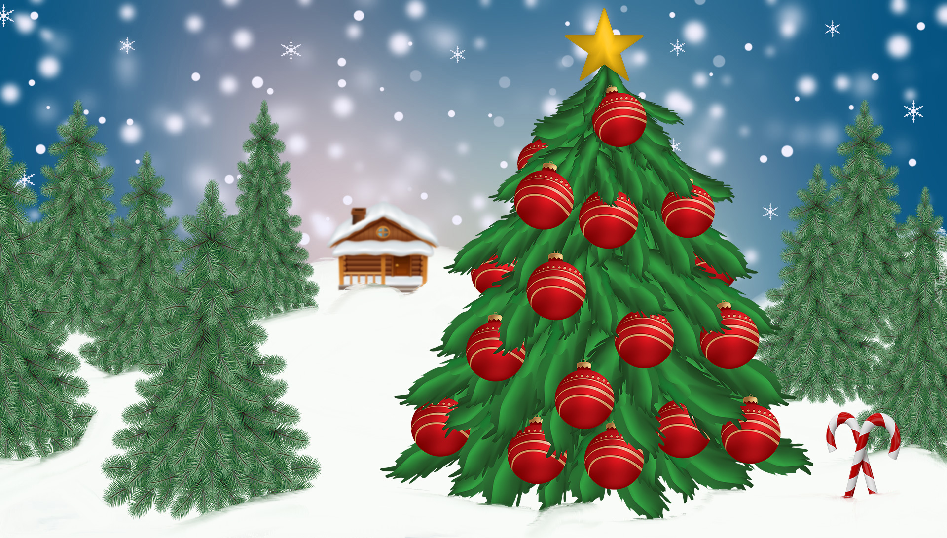 Zima, Boże Narodzenie, Choinka, Drzewa, Grafika 2D
