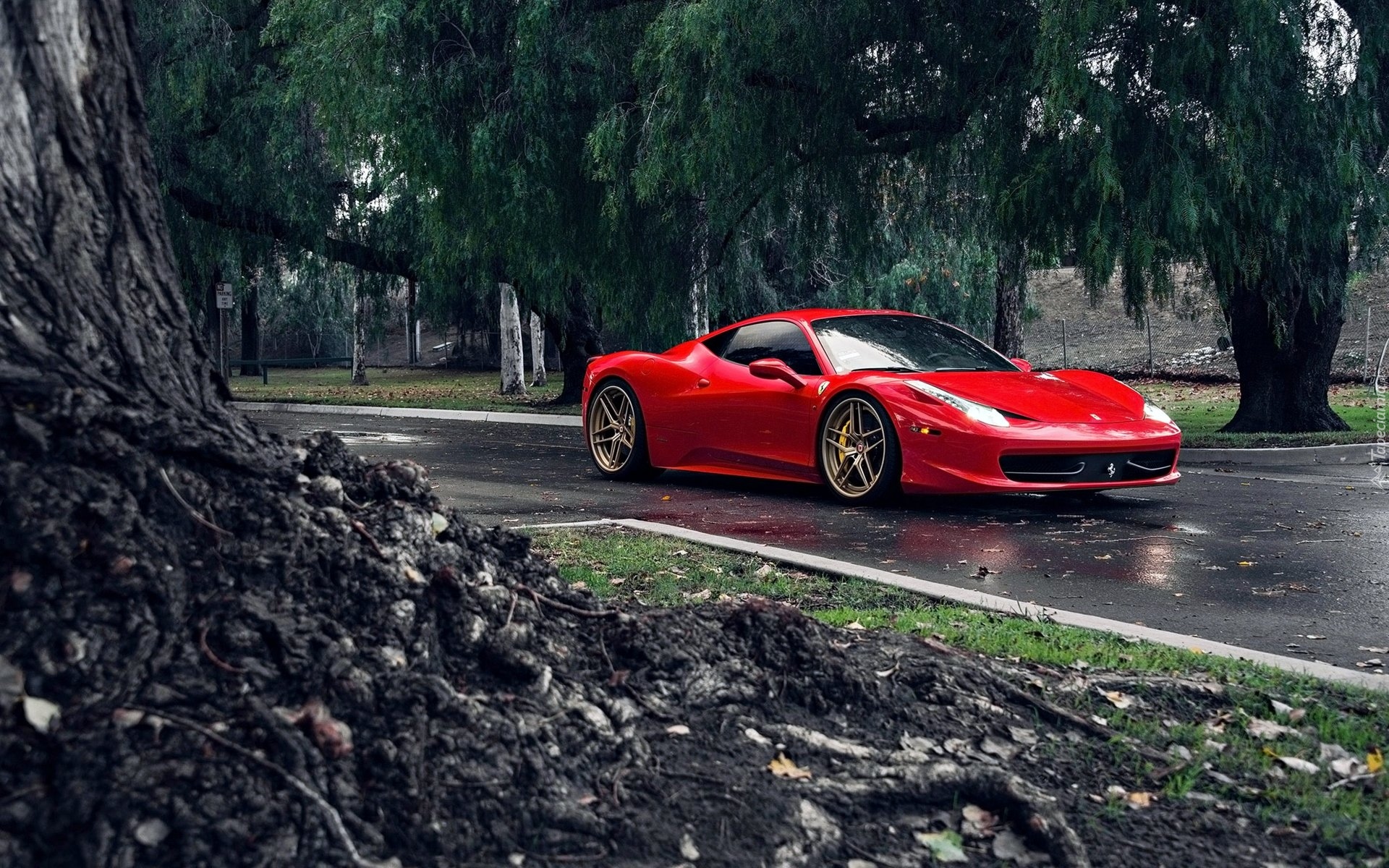 Czerwone, Ferrari 458 Italia, Droga