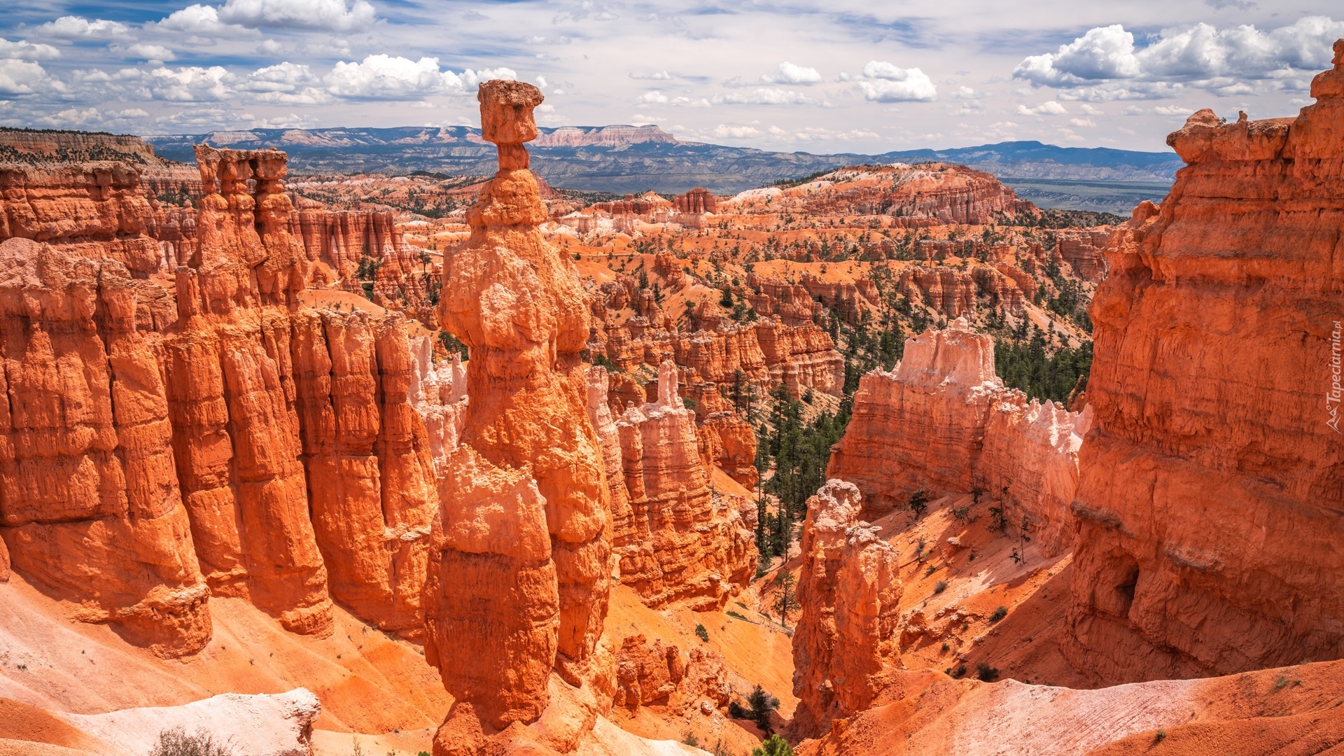 Stany Zjednoczone, Stan Utah, Park Narodowy Bryce Canyon, Formacje skalne, Skały, Roślinność, Chmury