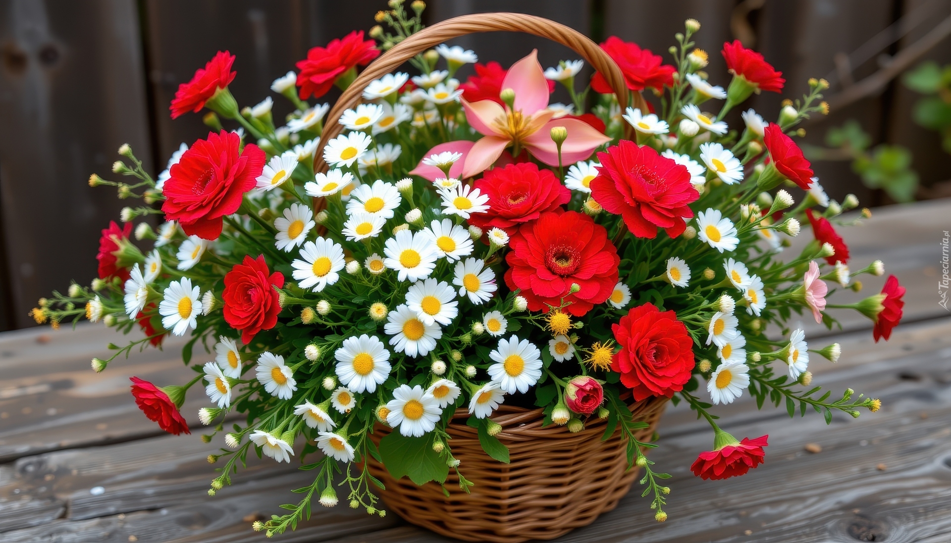 Bukiet, Czerwone, Białe, Kwiaty, Wiklinowy, Koszyk, Deski