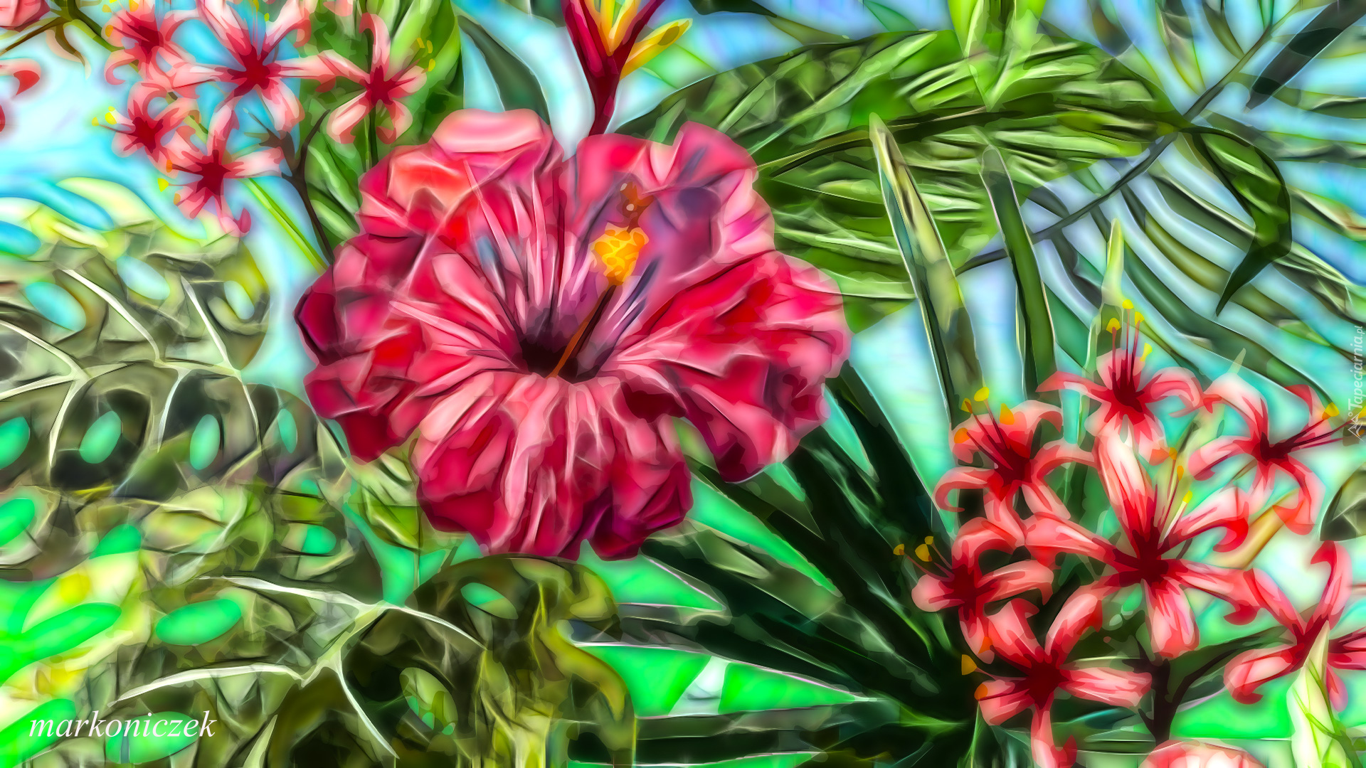 Kwiaty, Liście, Grafika, Hibiskus