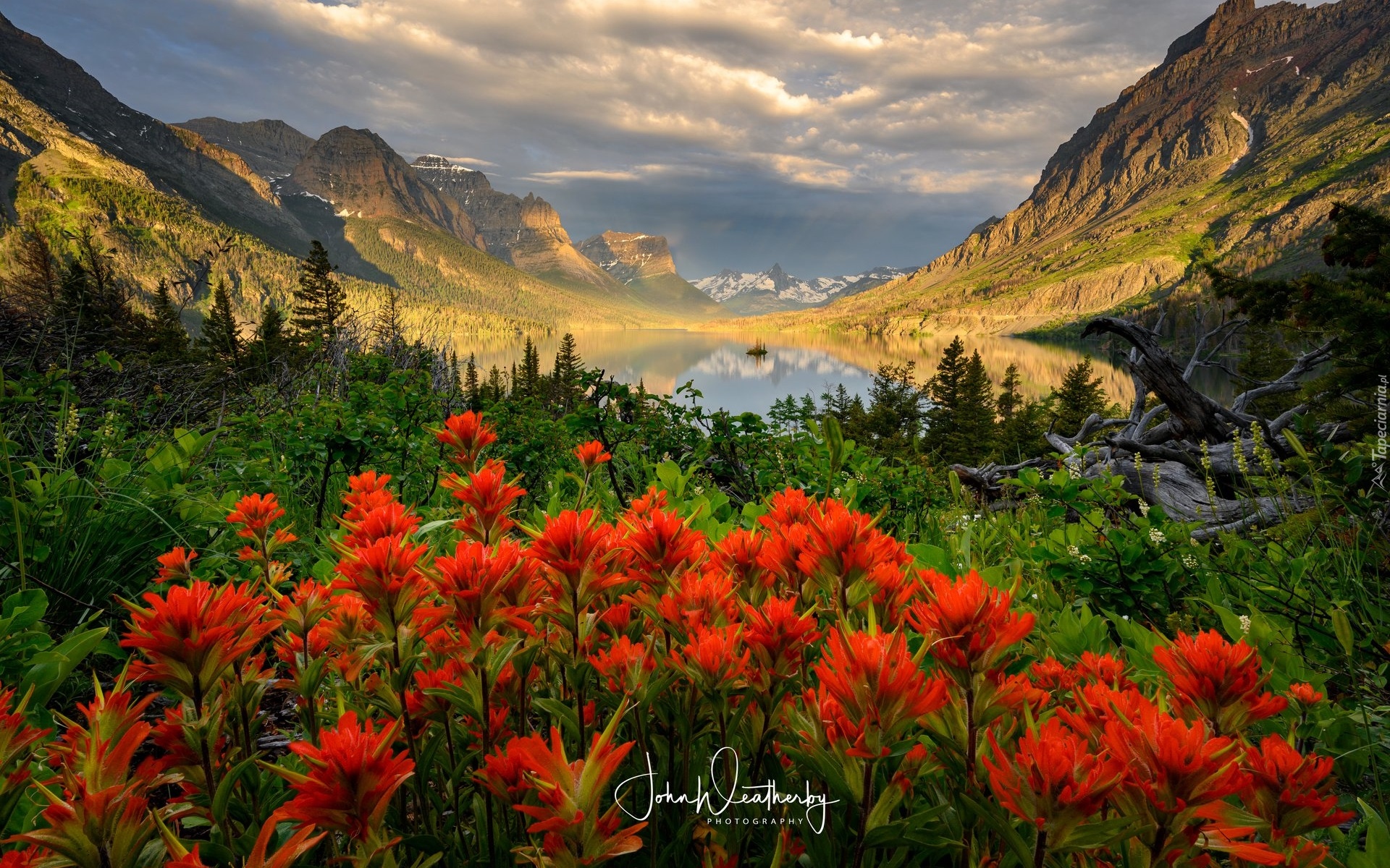 Góry, Jezioro, Saint Mary Lake, Drzewa, Kwiaty, Chmury, Park Narodowy Glacier, Kanada