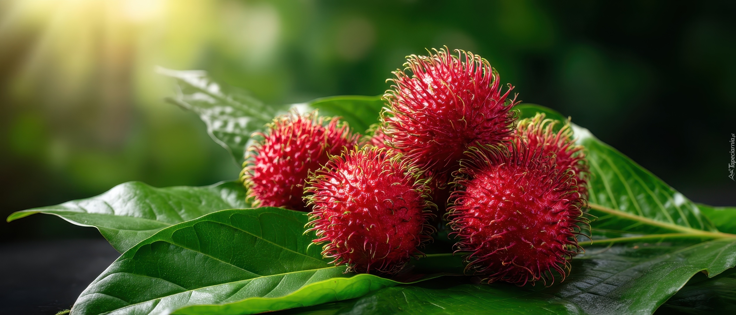 Rambutan, Czerwone, Owoce, Liście, Grafika AI