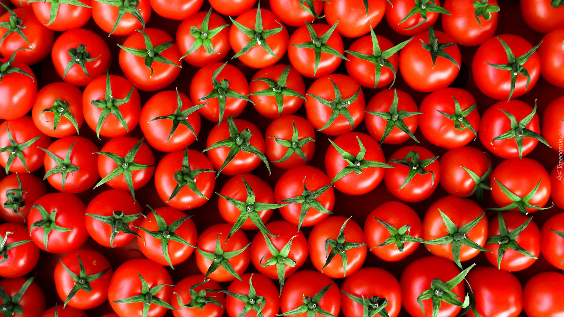 Pomidory, Czerwone, Dojrzałe