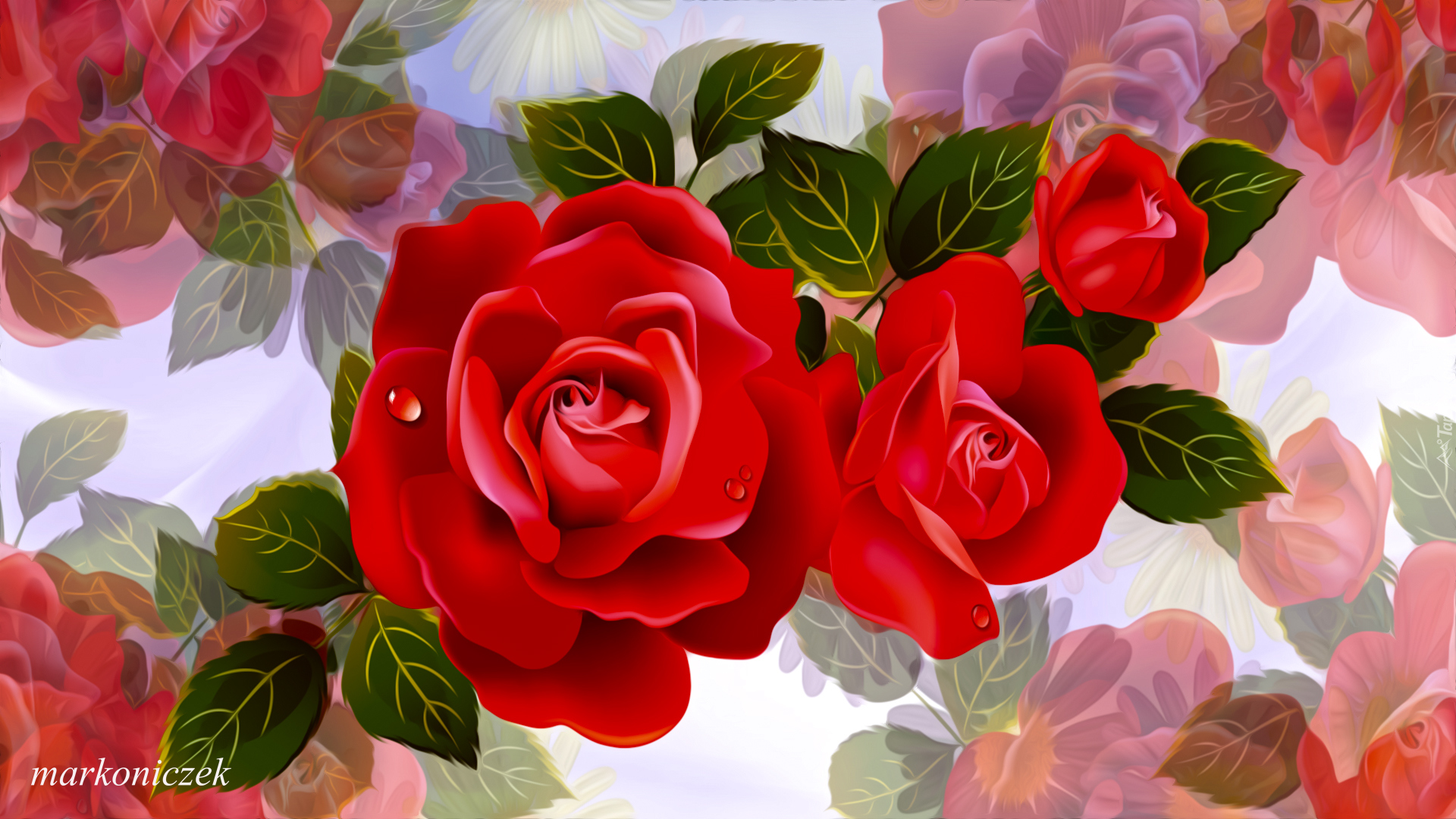 Kwiaty, Czerwone, Róże, 2D