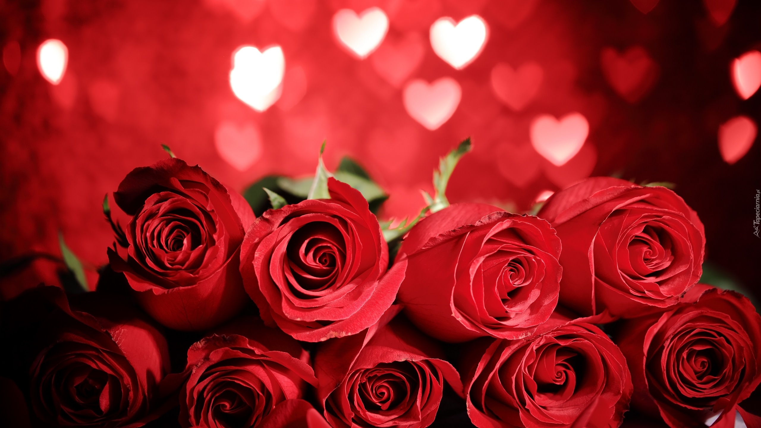 Czerwone, Róże, Serduszka, Miłość