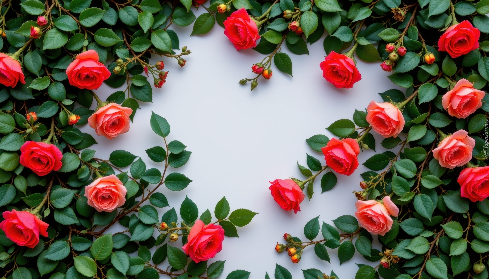 Kwiaty, Czerwone, Róże, Gałązki, Listki