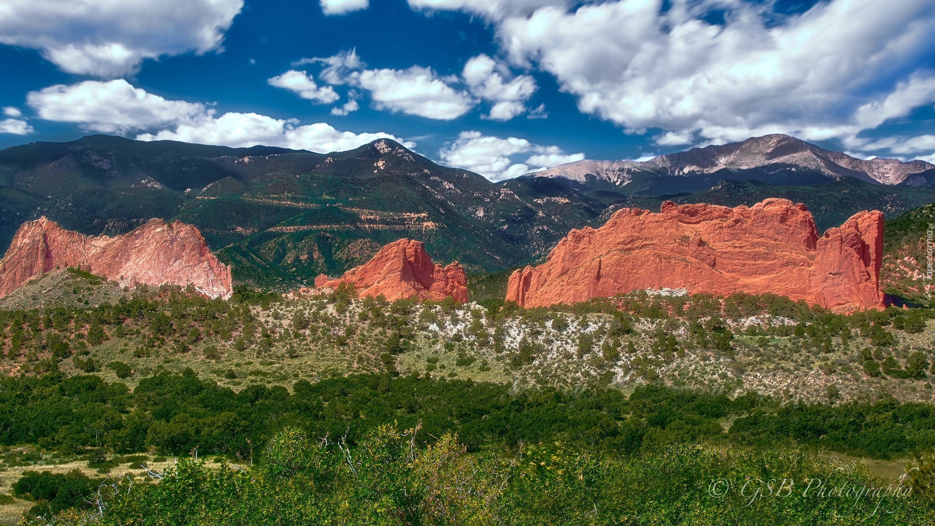 Góry Skaliste, Czerwone, Skały, Park stanowy, Garden of the Gods, Rośliny, Chmury, Colorado Springs, Kolorado