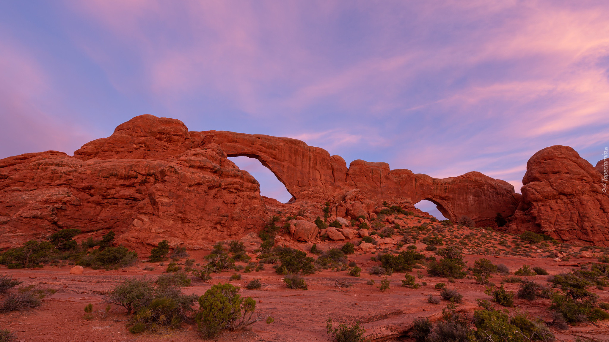 Skały, Park Narodowy Arches, Krzewy, Utah, Stany Zjednoczone