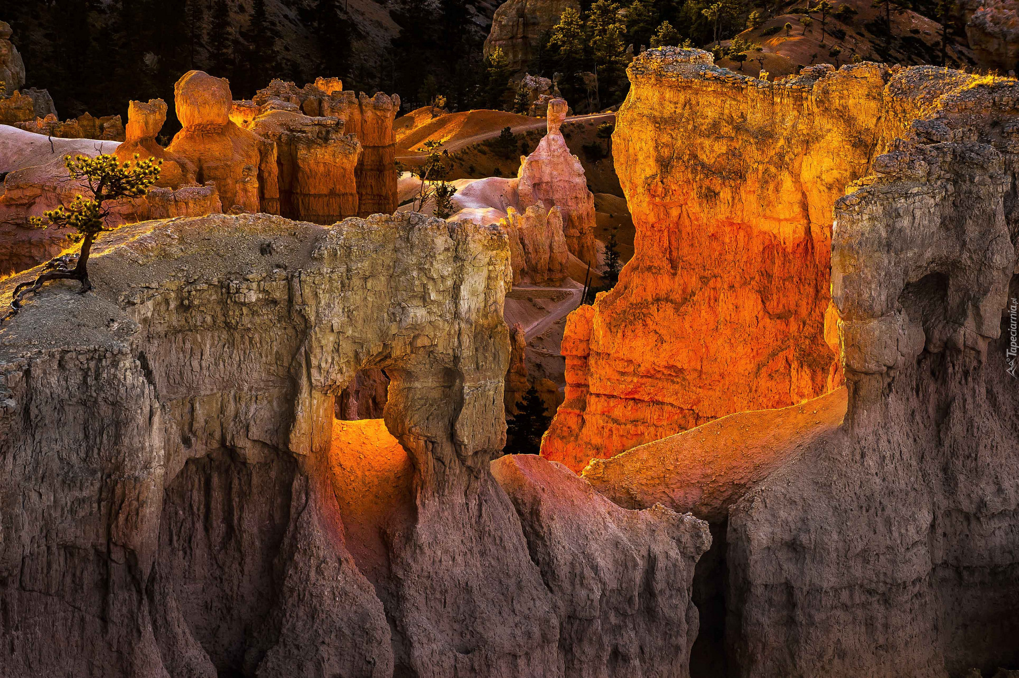 Park Narodowy Bryce Canyon, Stany Zjednoczone, Stan Utah, Góry, Skały