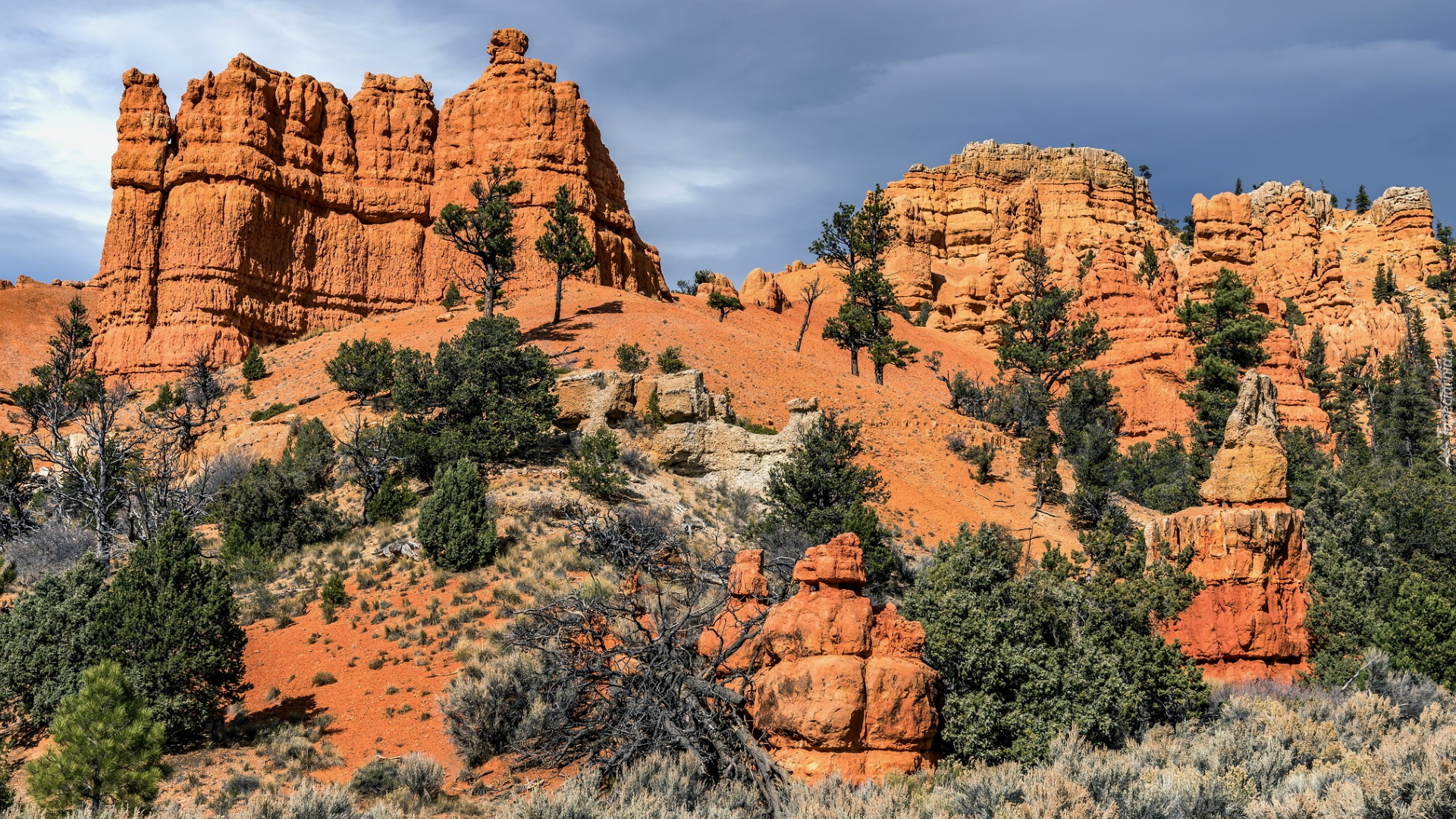 Skały, Drzewa, Red Canyon Visitor Center, Hillsdale, Panguitch, Stan Utah, Stany Zjednoczone