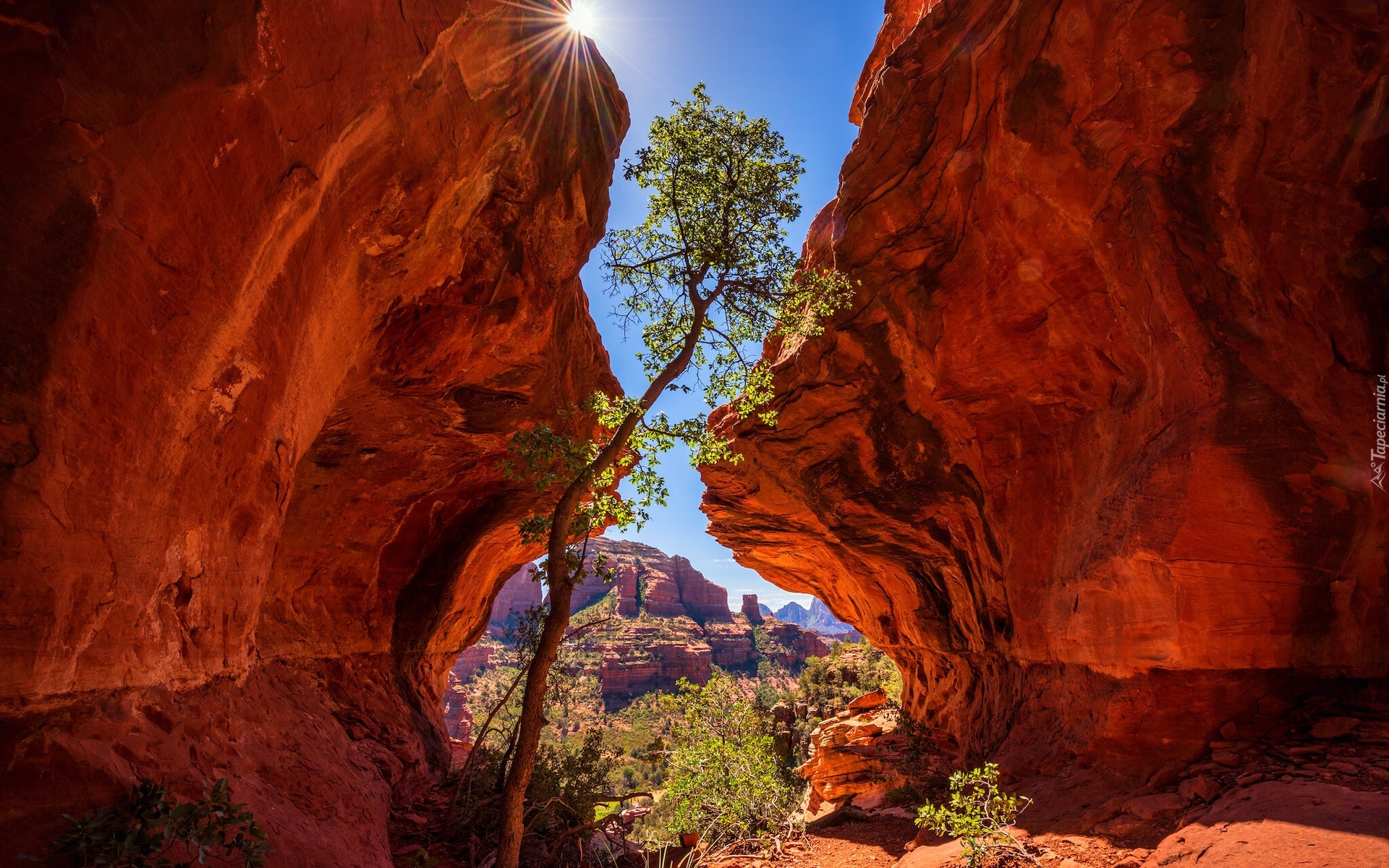 Stany Zjednoczone, Arizona, Sedona, Skały, Czerwone, Promienie słońca, Drzewo, Krzewy