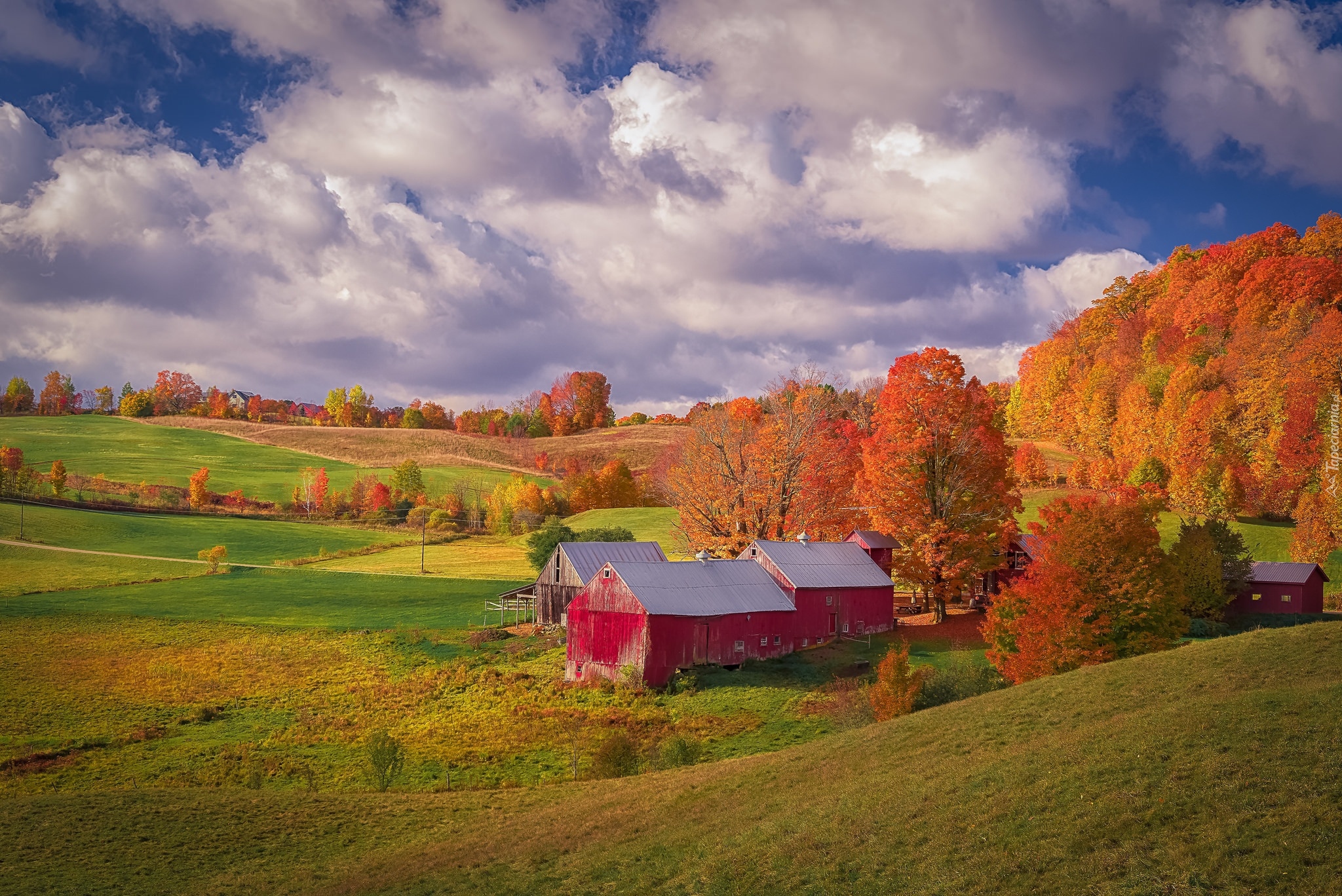 Stan Vermont, Wieś Reading, Farma Jenne Farm, Jesień, Wzgórza, Drzewa, Czerwone, Drewniane, Stodoły, Domy, Chmury, Stany Zjednoczone