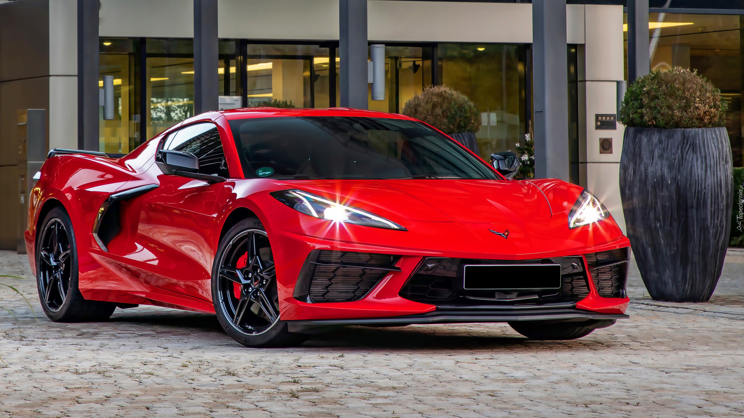 Czerwony, Chevrolet Corvette Stingray, 2021