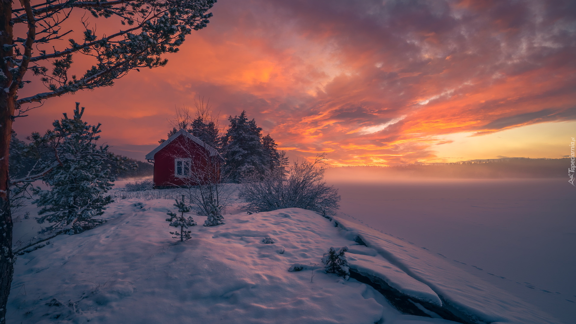 Zima, Czerwony, Domek, Drzewa, Ringerike, Norwegia