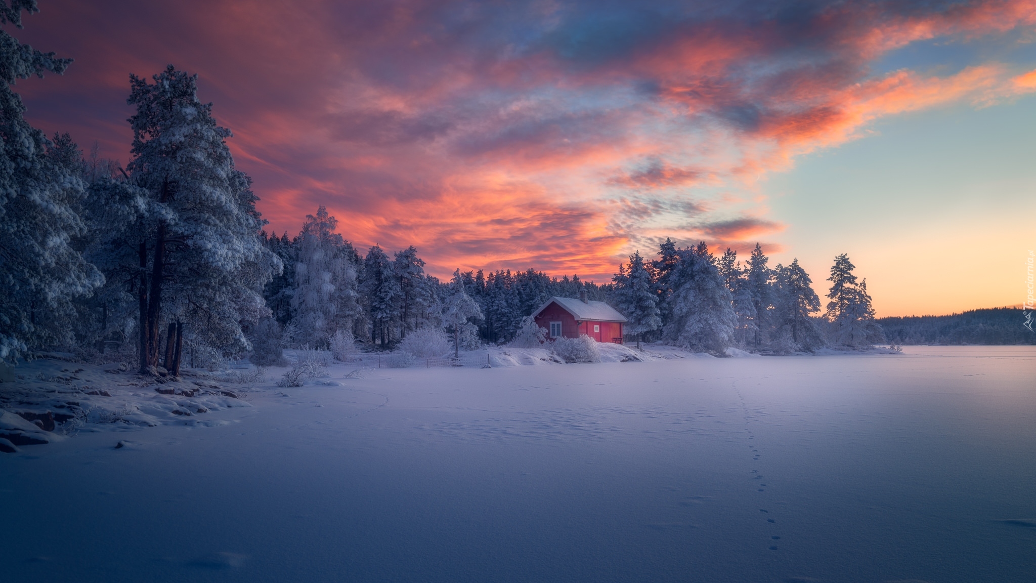 Norwegia, Ringerike, Zima, Drzewa, Las, Dom, Zachód słońca, Chmury