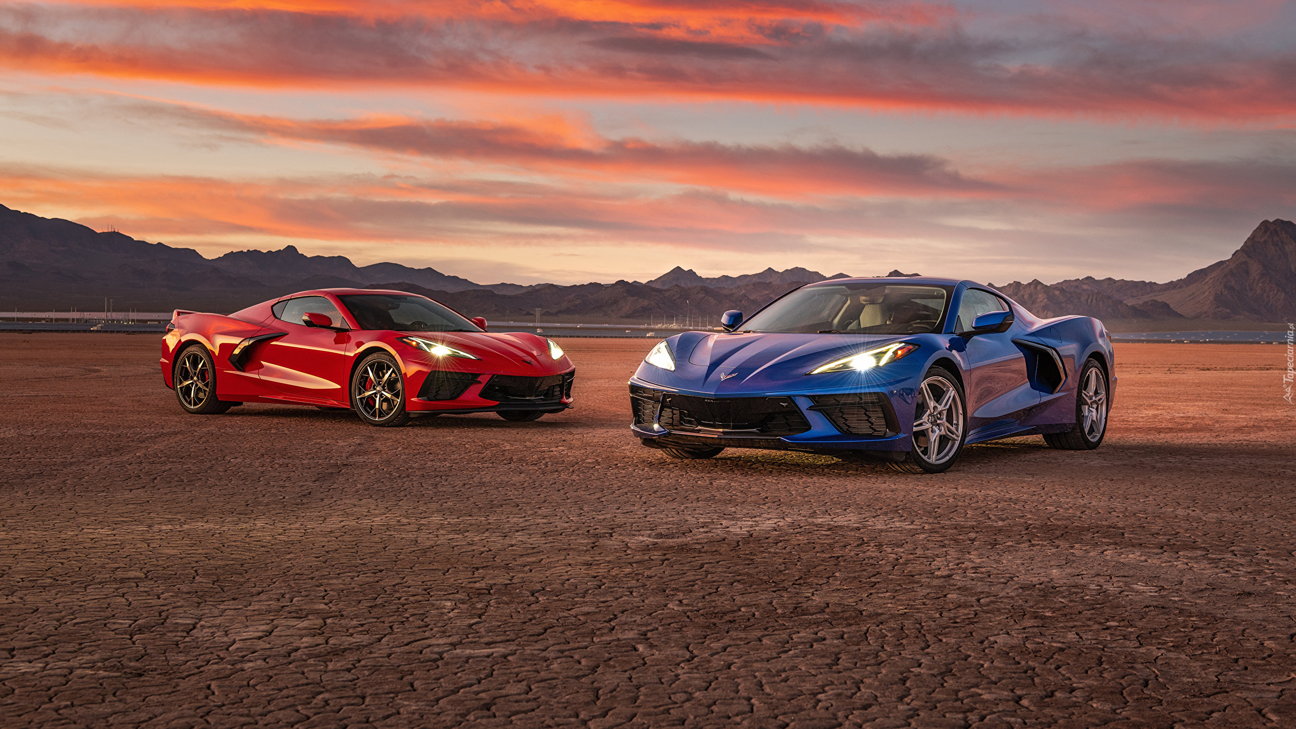 Niebieski, Czerwony, Chevrolet Corvette C8 Stingray