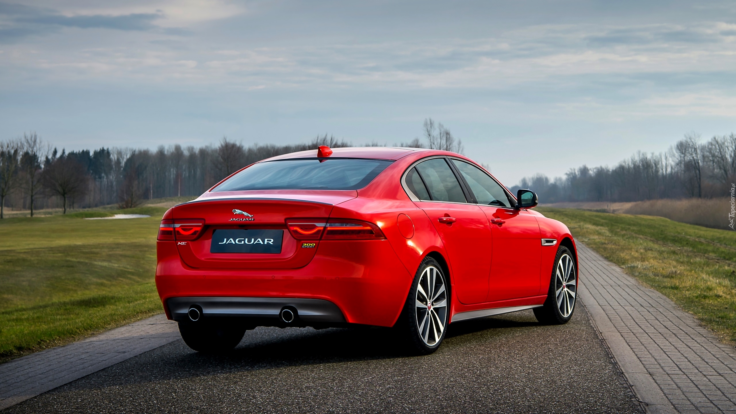 Czerwony, Jaguar XE 300, Sport, Droga