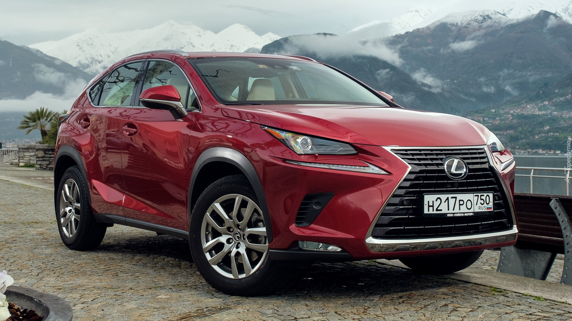 Lexus, NX