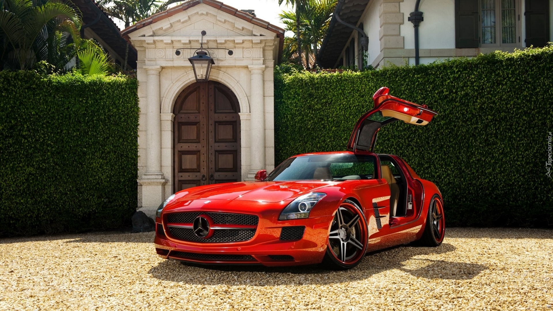 Czerwony, Mercedes-Benz SLS AMG, Brama, Żywopłot