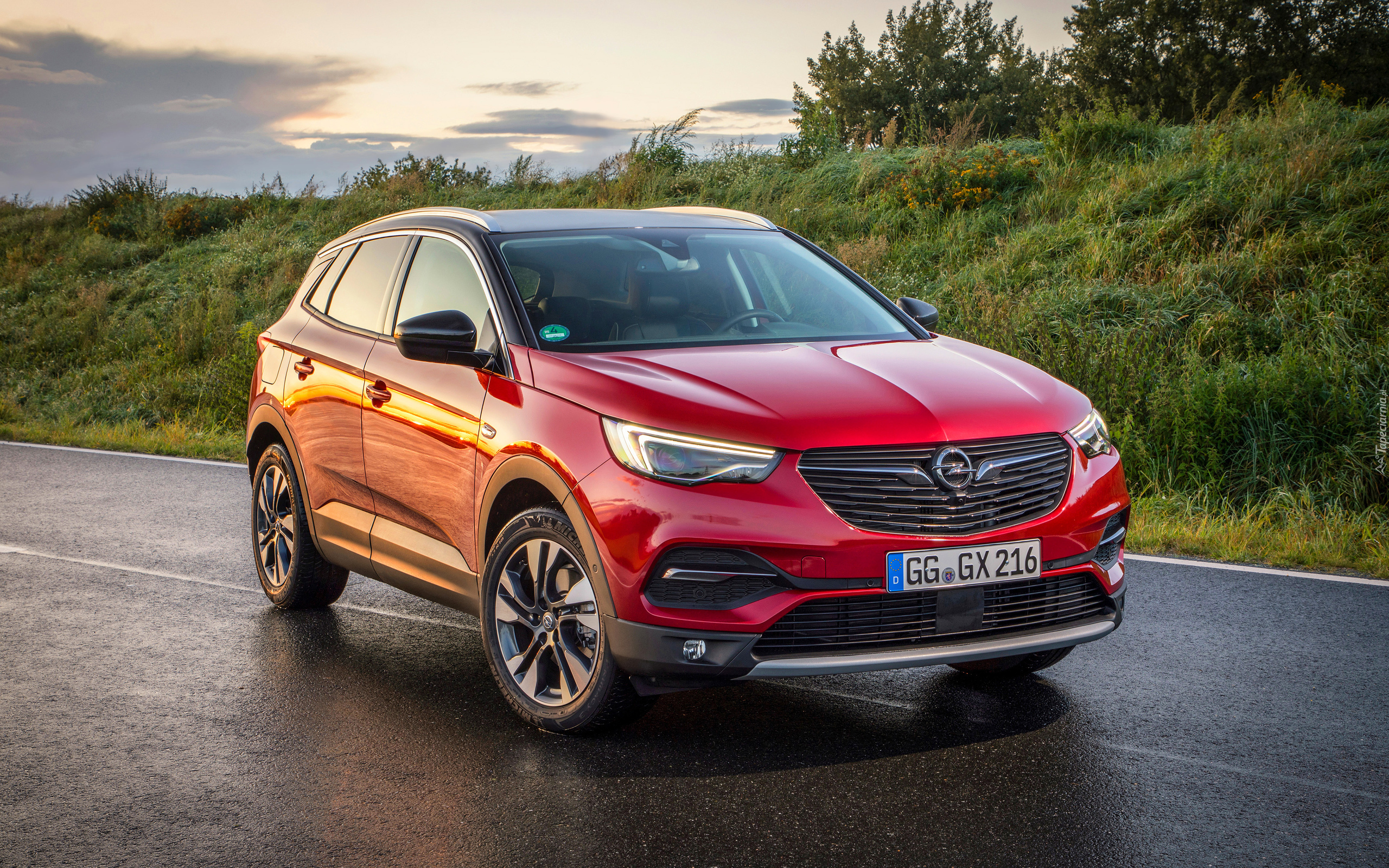 Czerwony, Opel Grandland X