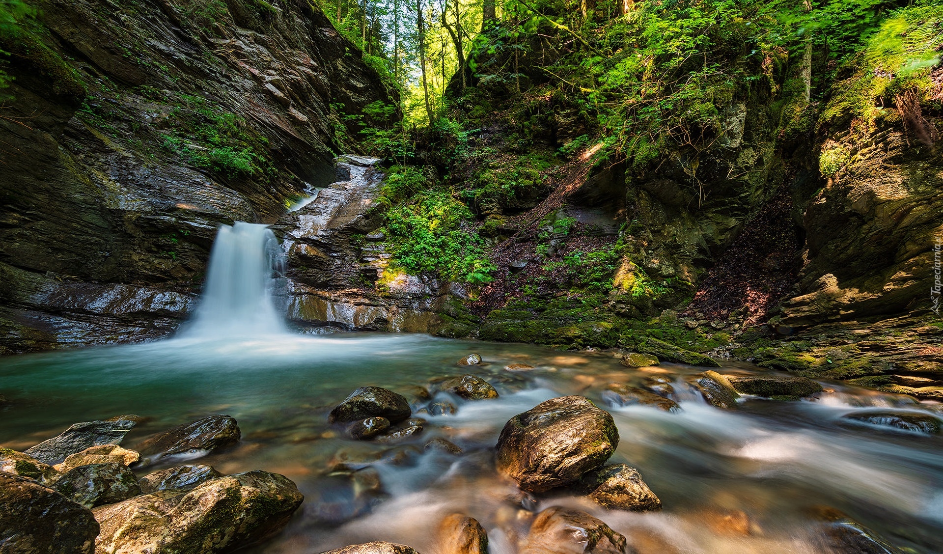 Francja, Morzine, Las, Drzewa, Wodospad, Cascade de Nyon, Skały, Rzeka, Kamienie