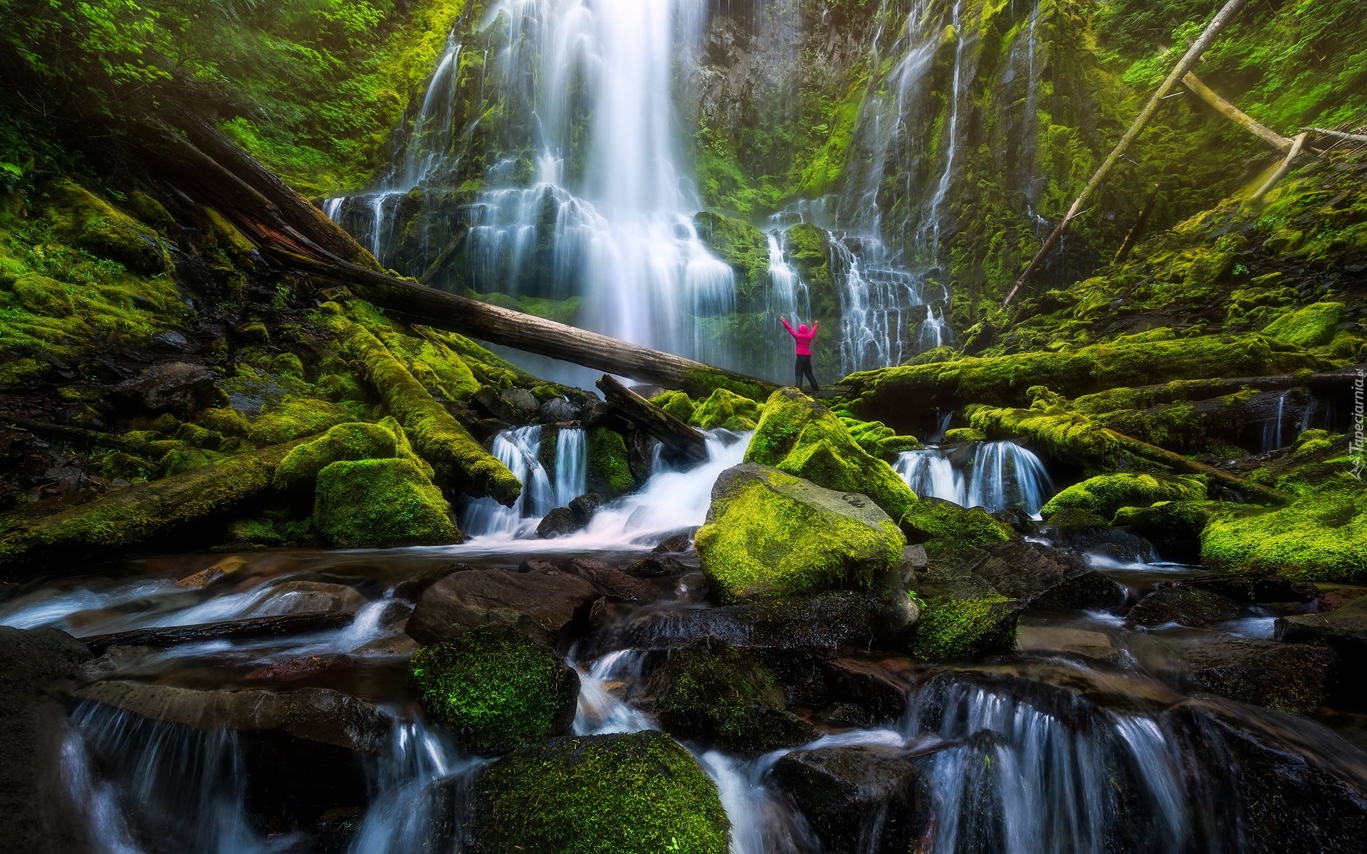 Stany Zjednoczone, Stan Oregon, Wodospad, Proxy Falls, Omszałe, Kamienie, Konary, Człowiek