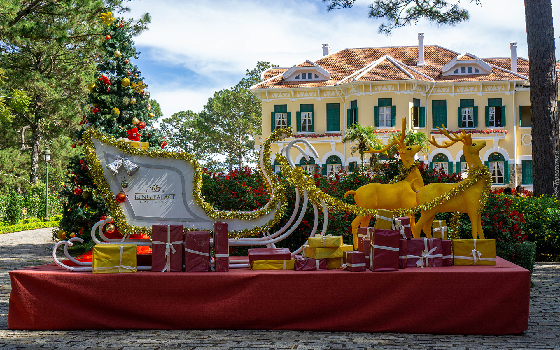 Wietnam, Prowincja Lam Dong, Boże Narodzenie, Nowy Rok, Sanie, Renifery, Zaprzęg, Prezenty, Choinka, Dom, Hotel, Bao Dai King Palace in Da Lat