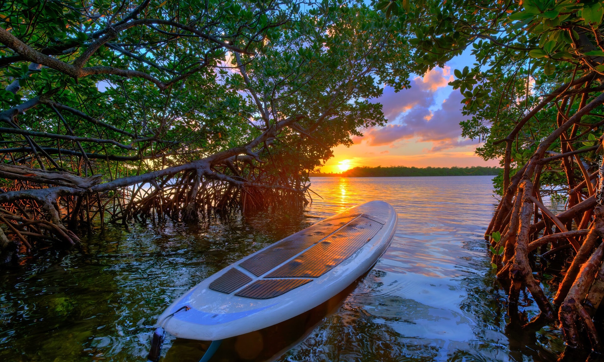 Stany Zjednoczone, Floryda, Jezioro, Lake Worth Lagoon, Deska surfingowa, Drzewa, Zachód słońca