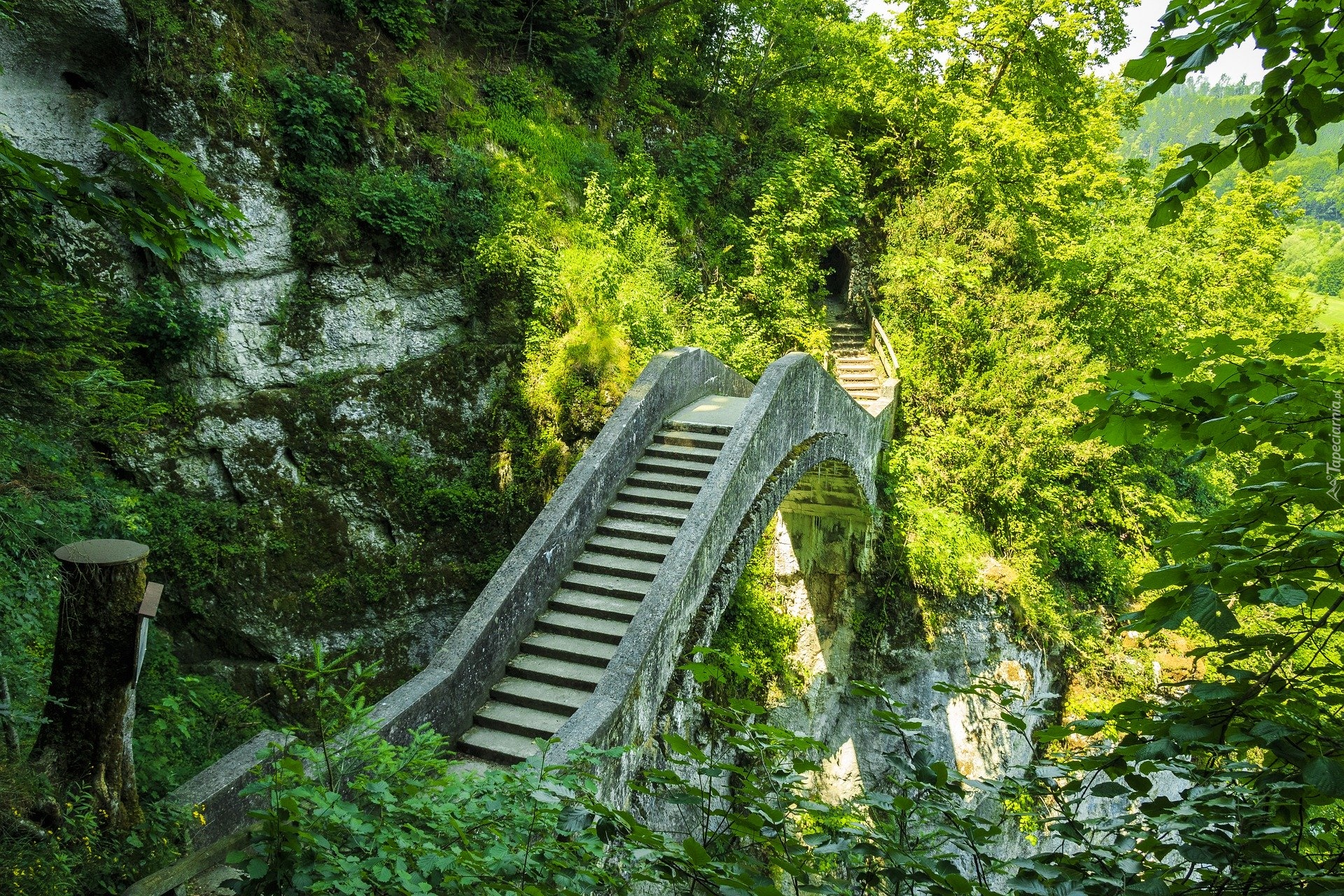 Park, Skały, Drzewa, Diabelski most, Inzigkofen, Badenia-Wirtembergia, Niemcy