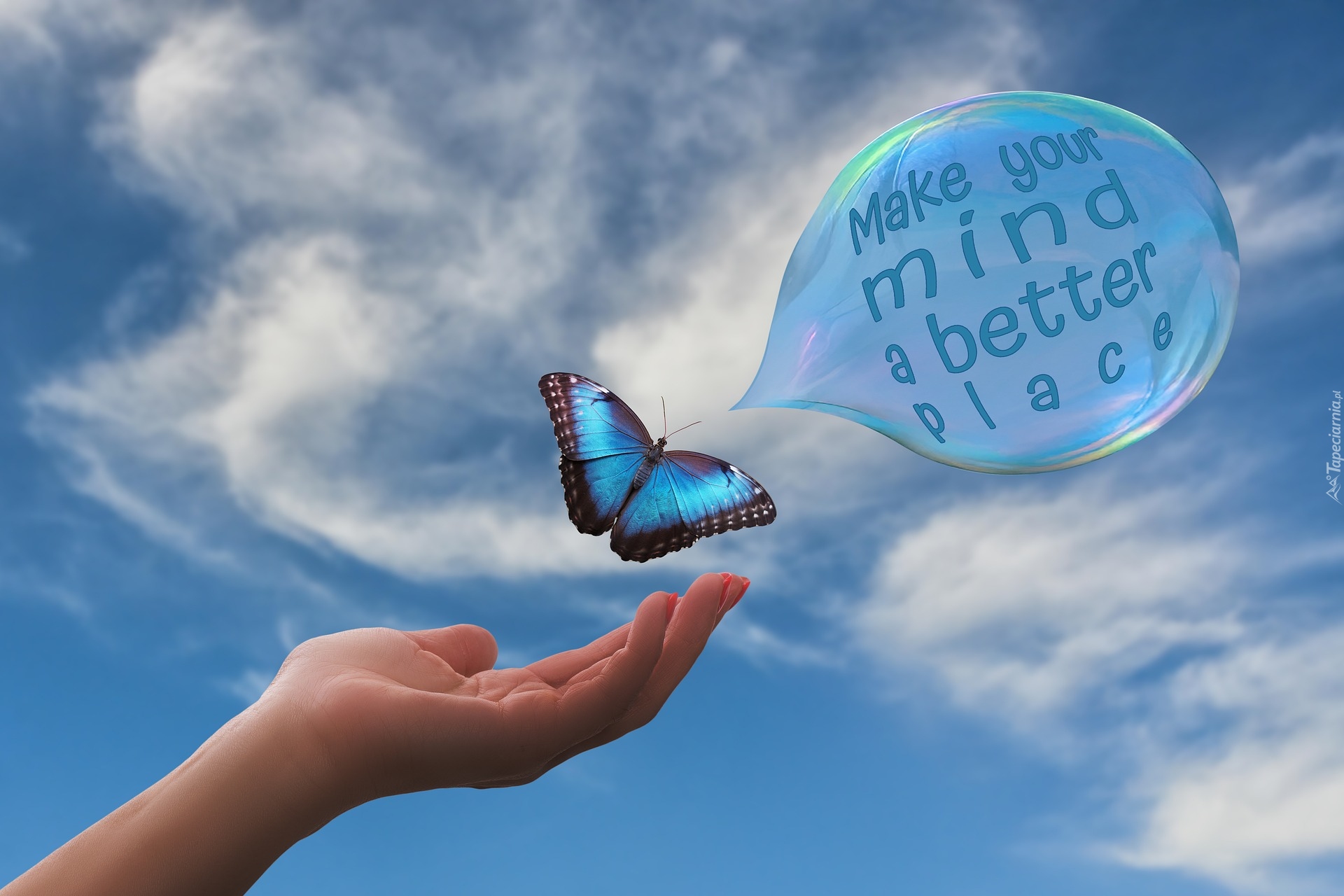 Niebieski, Motyl, Dłoń