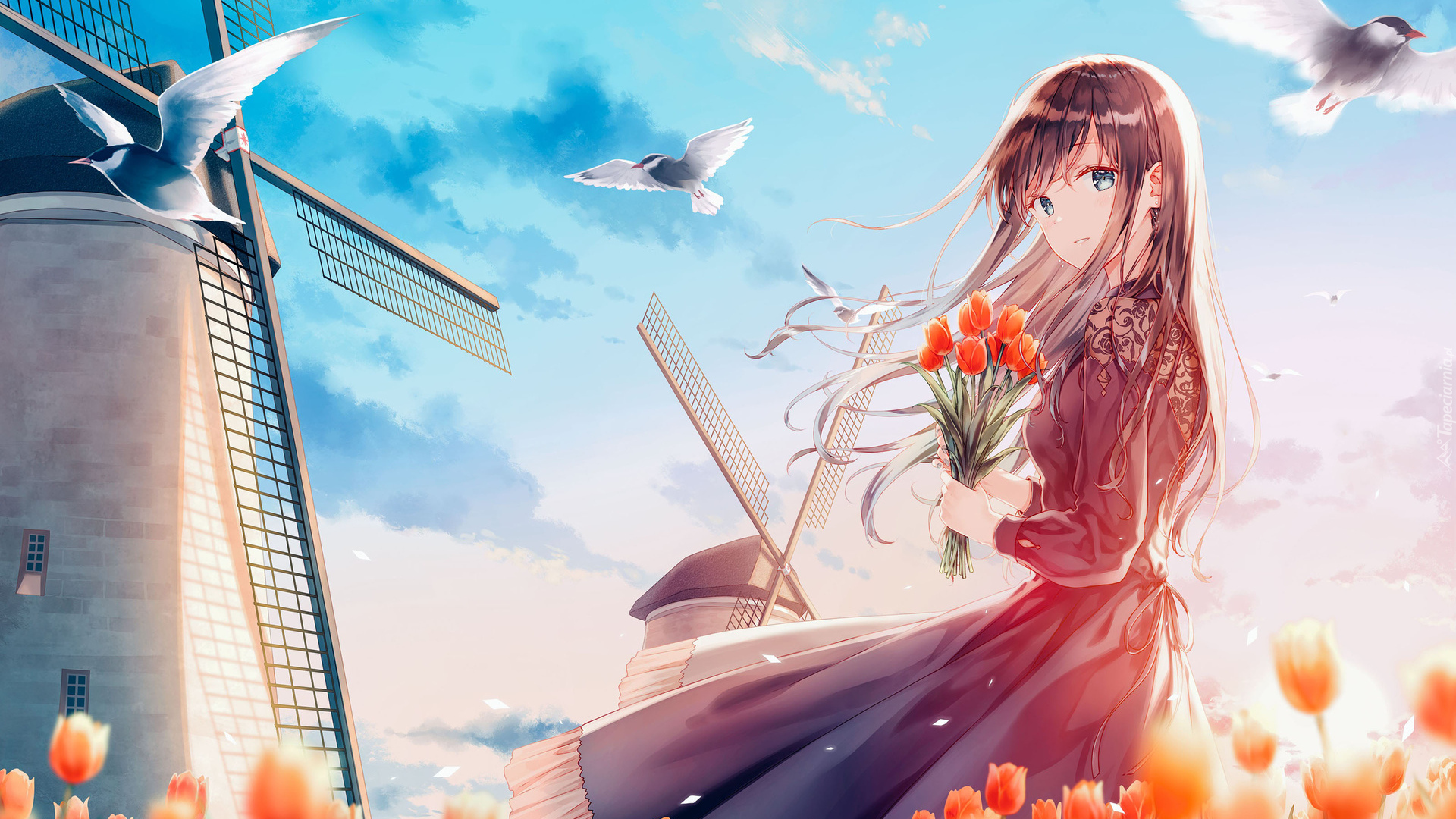 Dziewczyna, Tulipany, Młyn, Anime