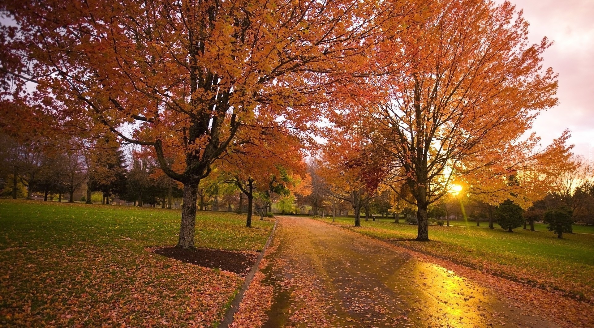 Jesień, Park, Alejka, Słońce, Liście