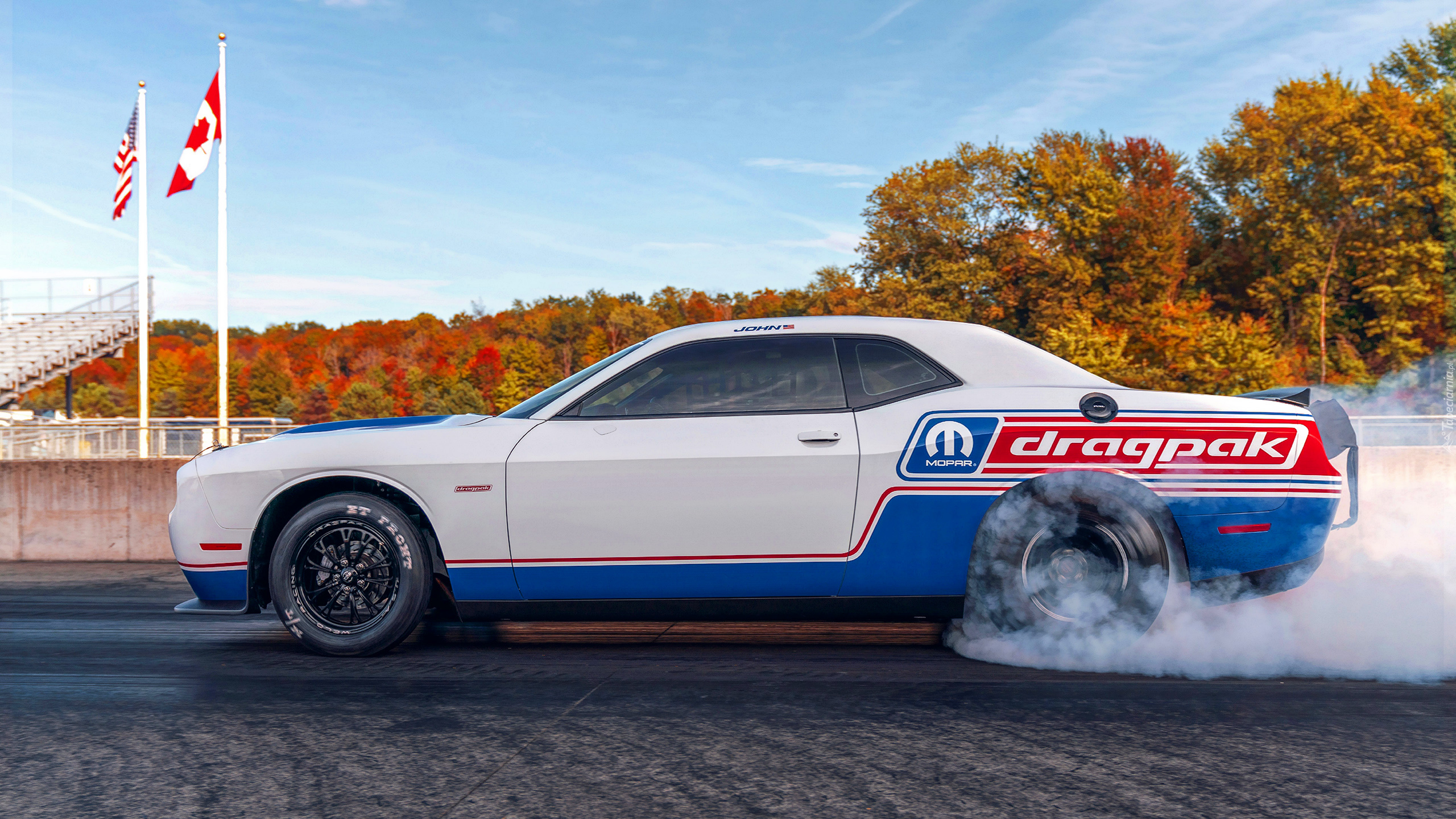 Biało-niebieski, Dodge Challenger Mopar Drag Pak, Bok