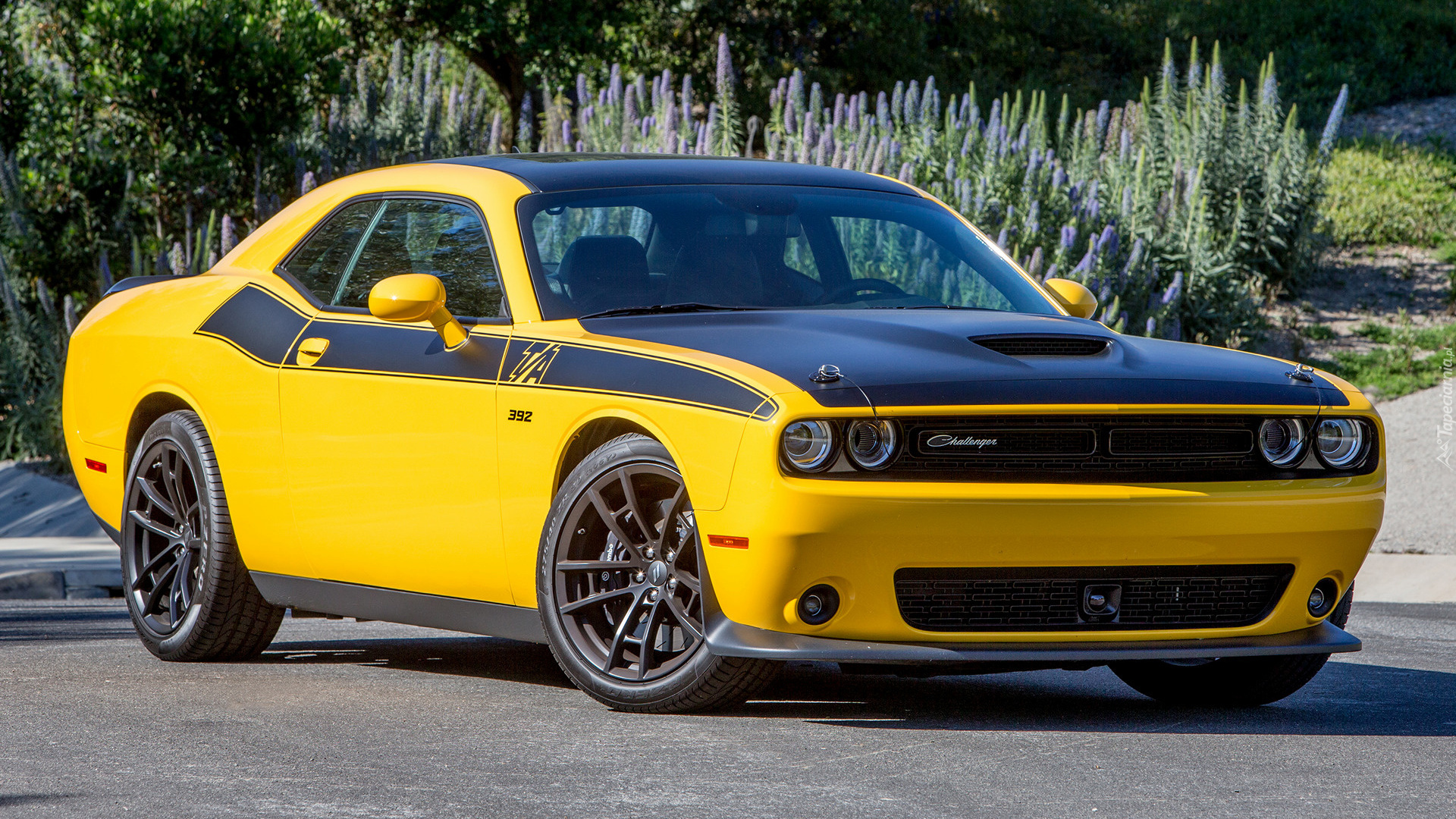 Dodge Challenger TA 392