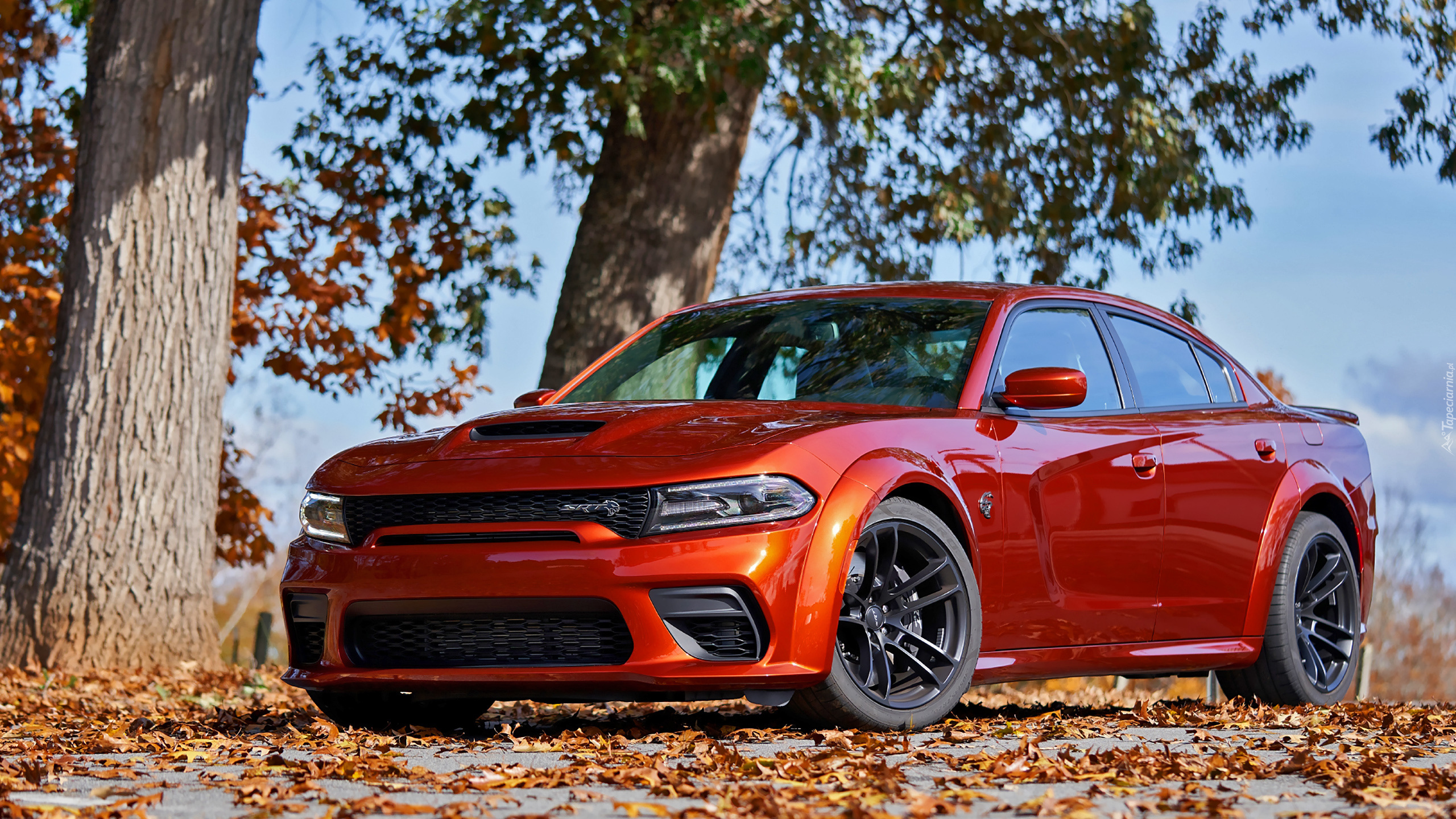 Dodge Charger SRT Hellcat, 2021