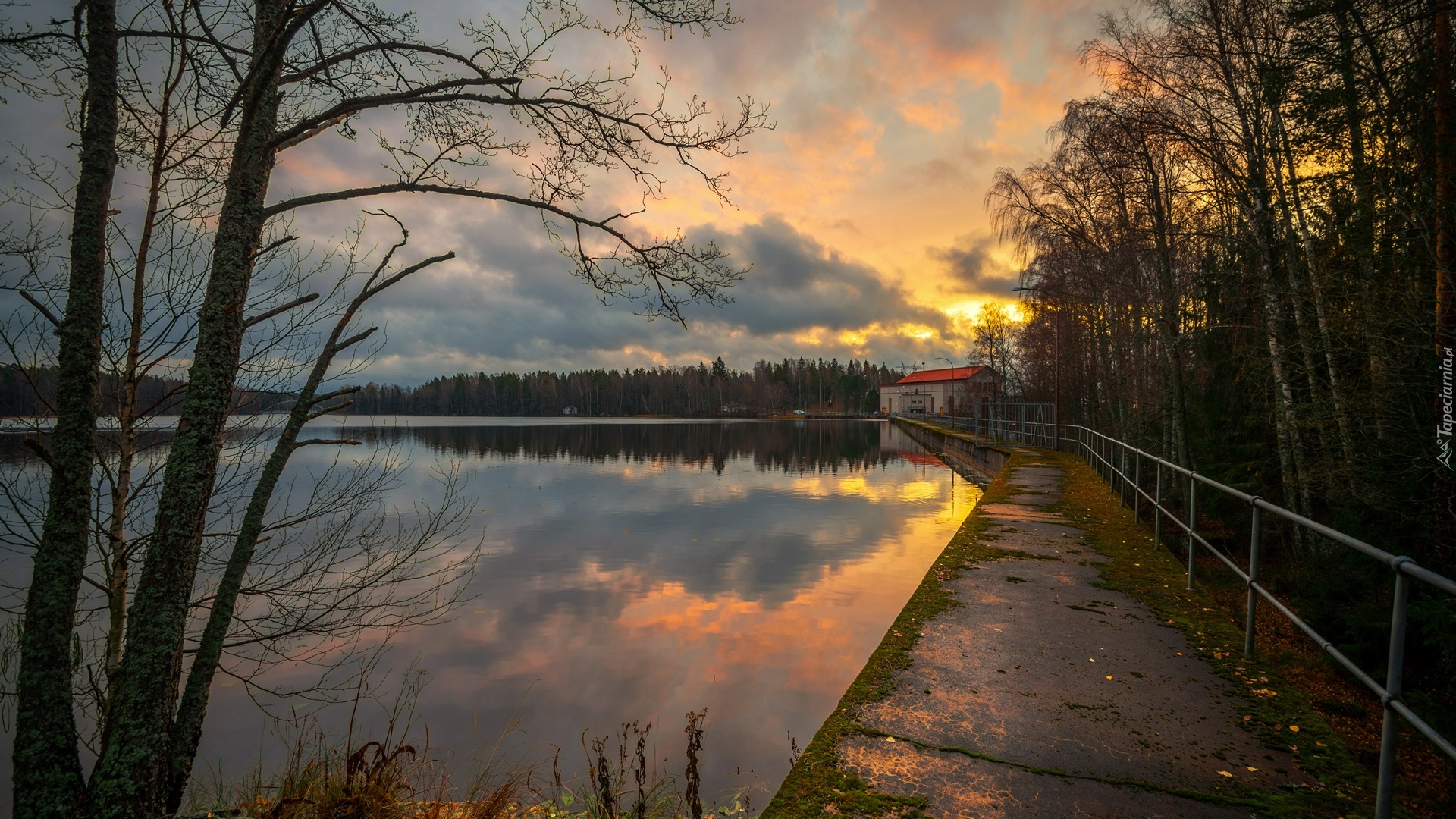 Jezioro Huuhanlampi, Drzewa, Las, Domy, Zachód słońca, Chmury, Finlandia