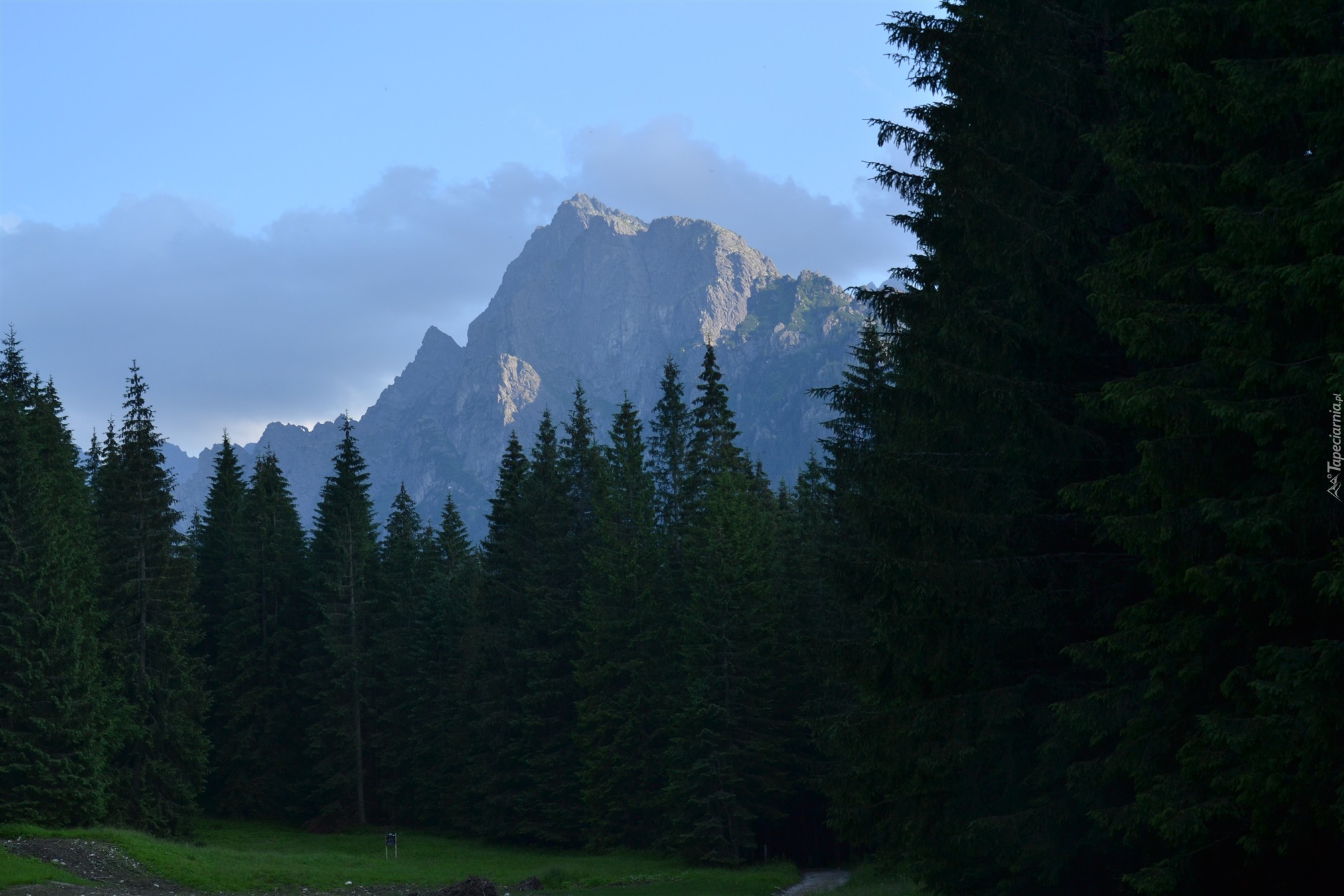 Tatry, Dolina Białej Wody, Góry, Las