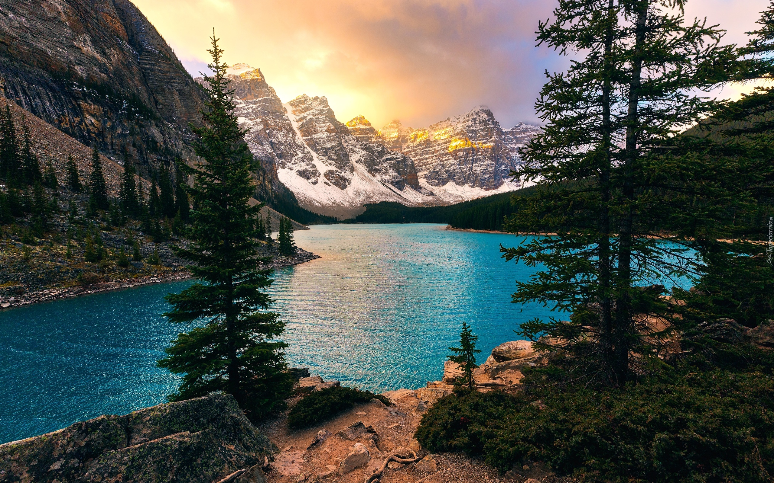 Kanada, Alberta, Park Narodowy Banff, Jezioro Moraine, Dolina Valley of the Ten Peaks, Dolina Dziesięciu Szczytów, Las, Drzewa, Góry