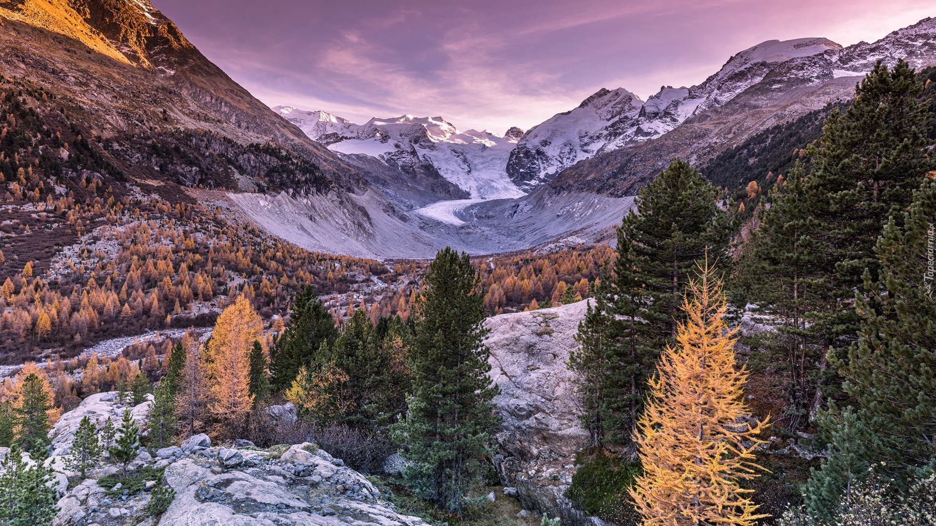 Góry, Alpy, Lodowiec Morteratsch, Kamienie, Drzewa, Jesień, Dolina Morteratsch, Kanton Gryzonia, Szwajcaria