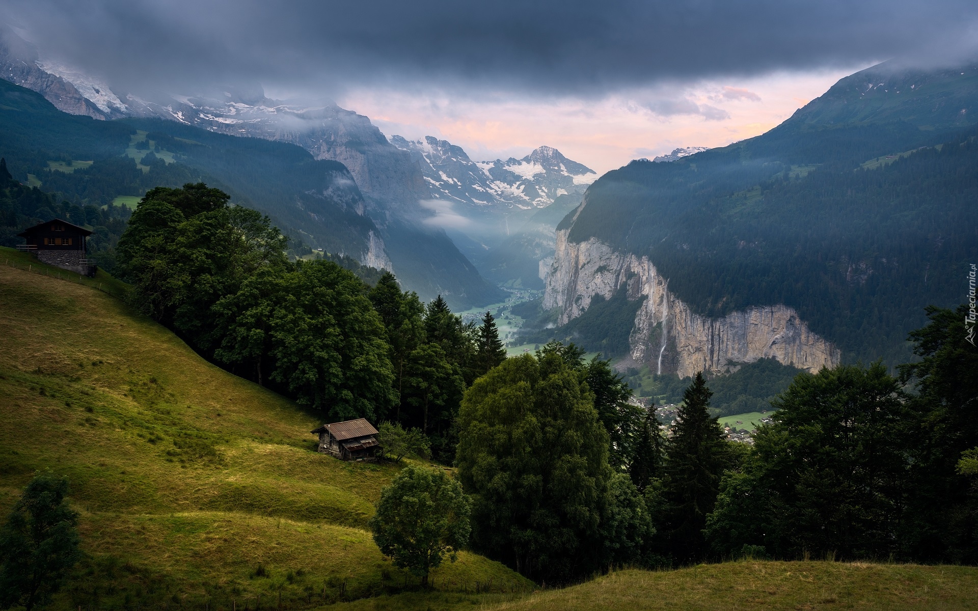 Szwajcaria, Gmina Lauterbrunnen, Wengen, Góry, Alpy Berneńskie, Dolina Lauterbrunnen, Lasy, Drzewa, Domy