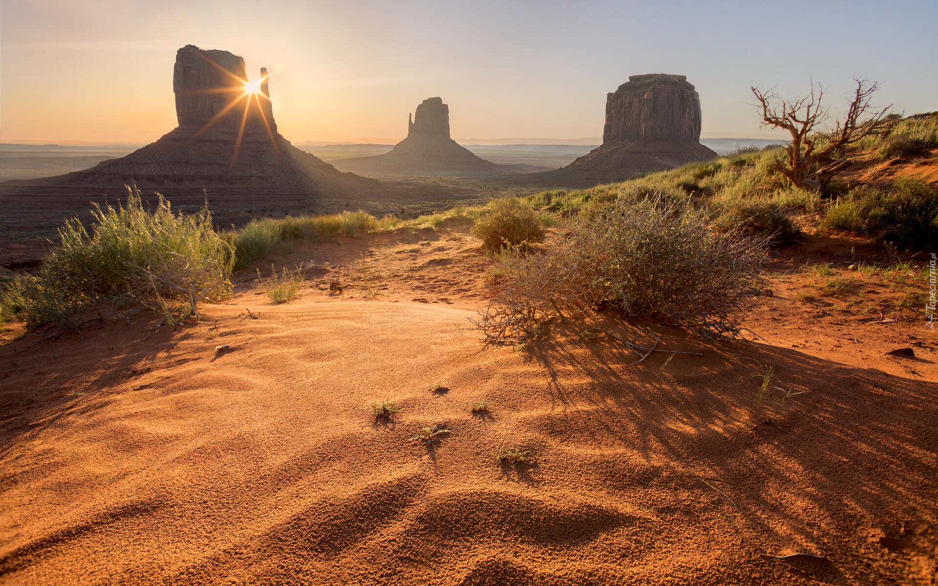 Wyżyna Kolorado, Region Monument Valley, Dolina Pomników, Skały, Krzewy, Stan Utah, Stany Zjednoczone