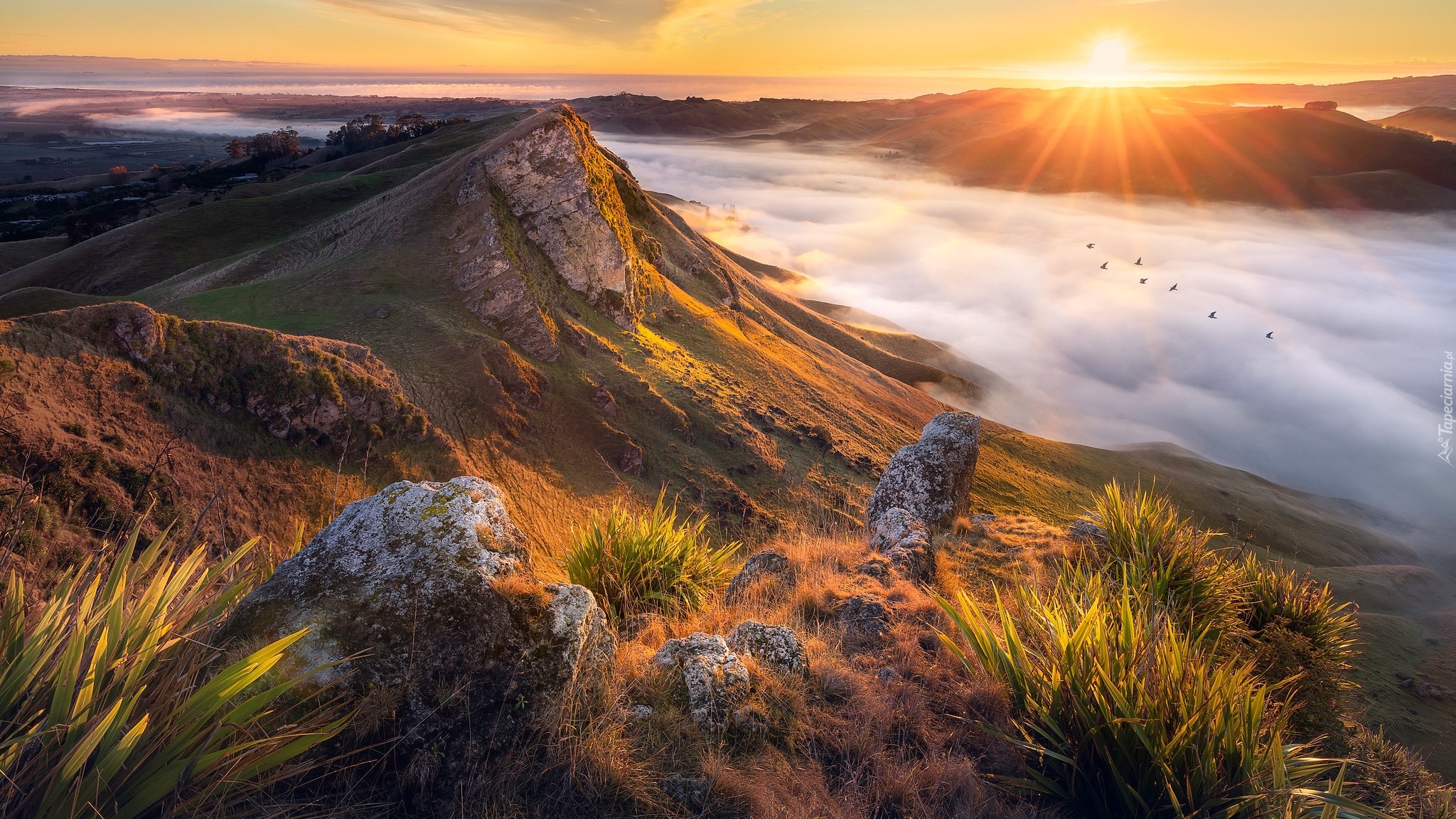 Nowa Zelandia, Region Hawkes Bay, Rzeka Tukituki River, Góry Te Mata Peak, Wzgórza, Wschód słońca, Dolina, Mgła